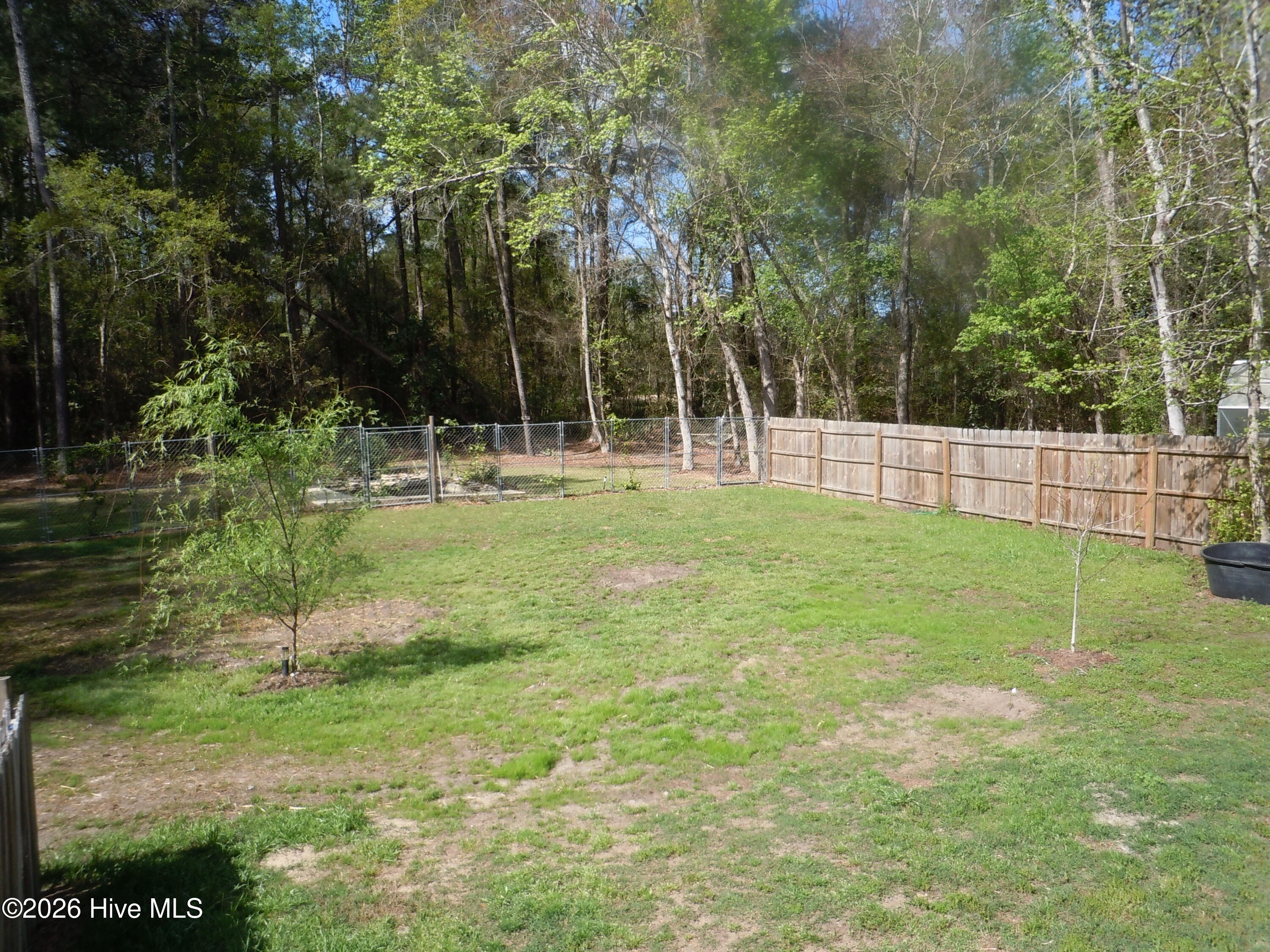 100565129 | Photo 85