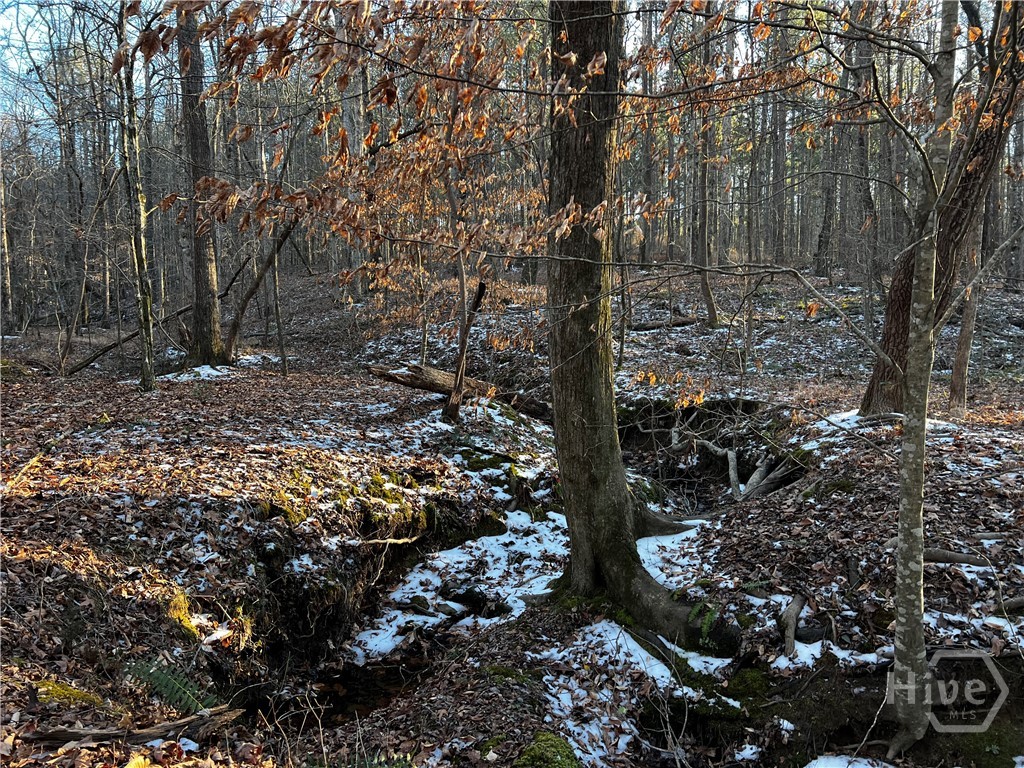 2285 Cherokee Road, Comer, GA, 30629