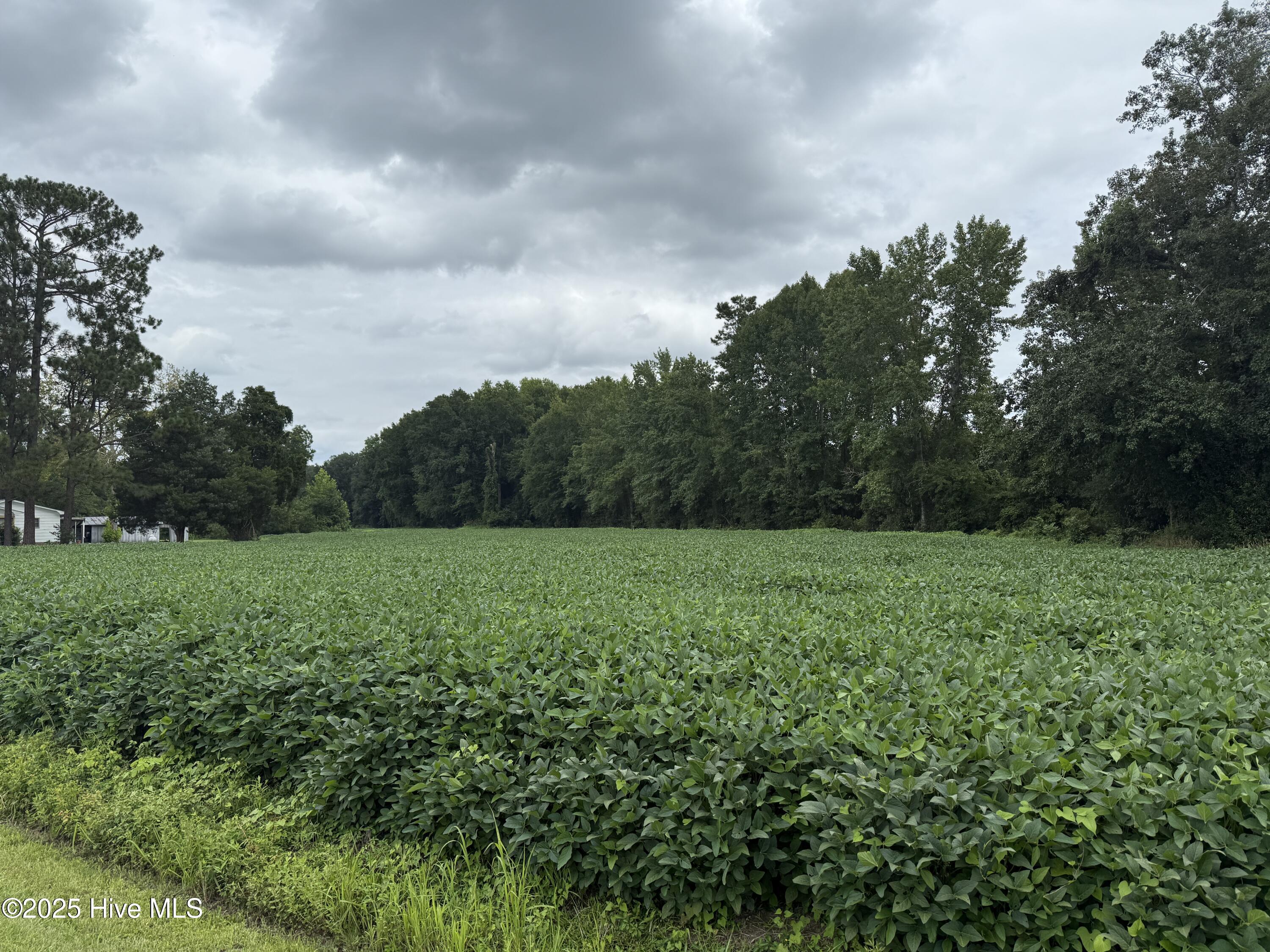 Homes for sale in Aurora, NC | 0 Sr 1932 Off, Aurora, NC 27806 | MLS# 100524800