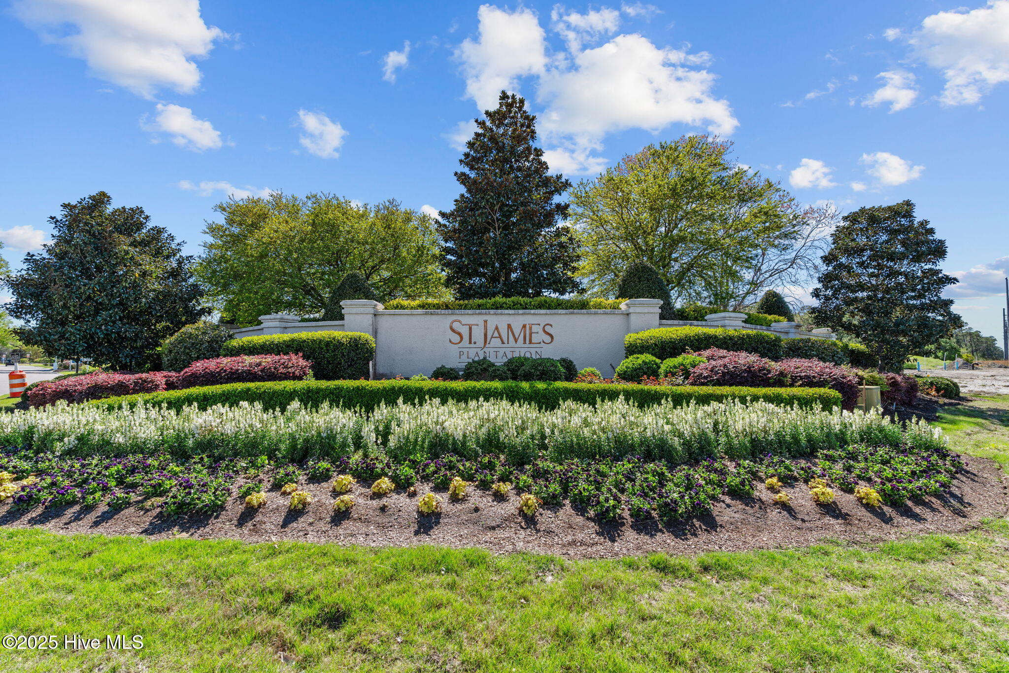 100536215 | Photo 16