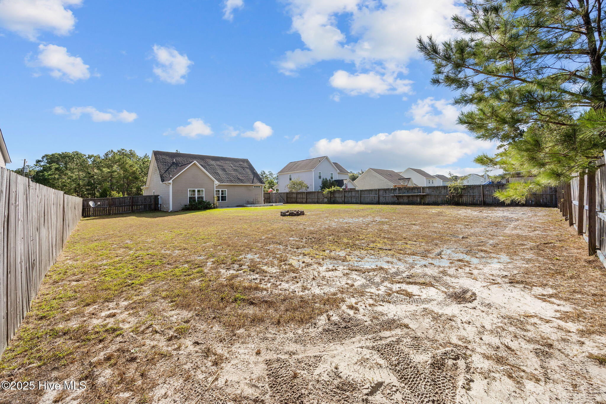 100535331 | Photo 42