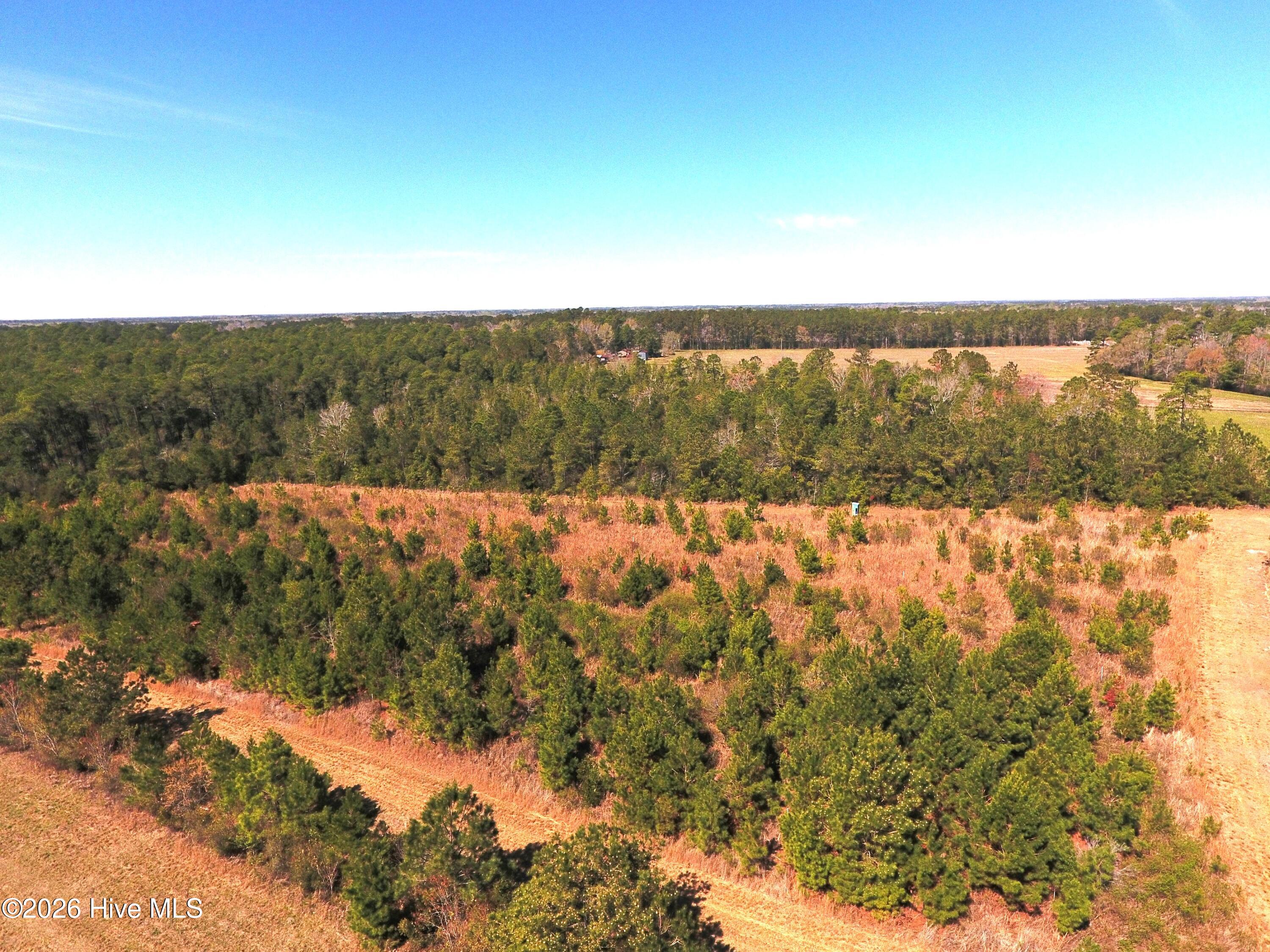 Shirley Johnson - MLS Number: 100562782