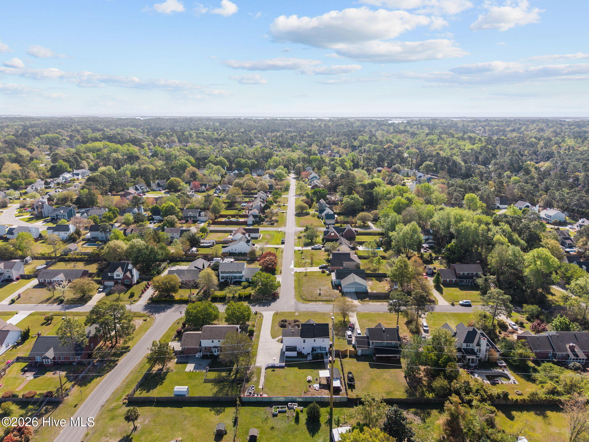 100564590 | Photo 50