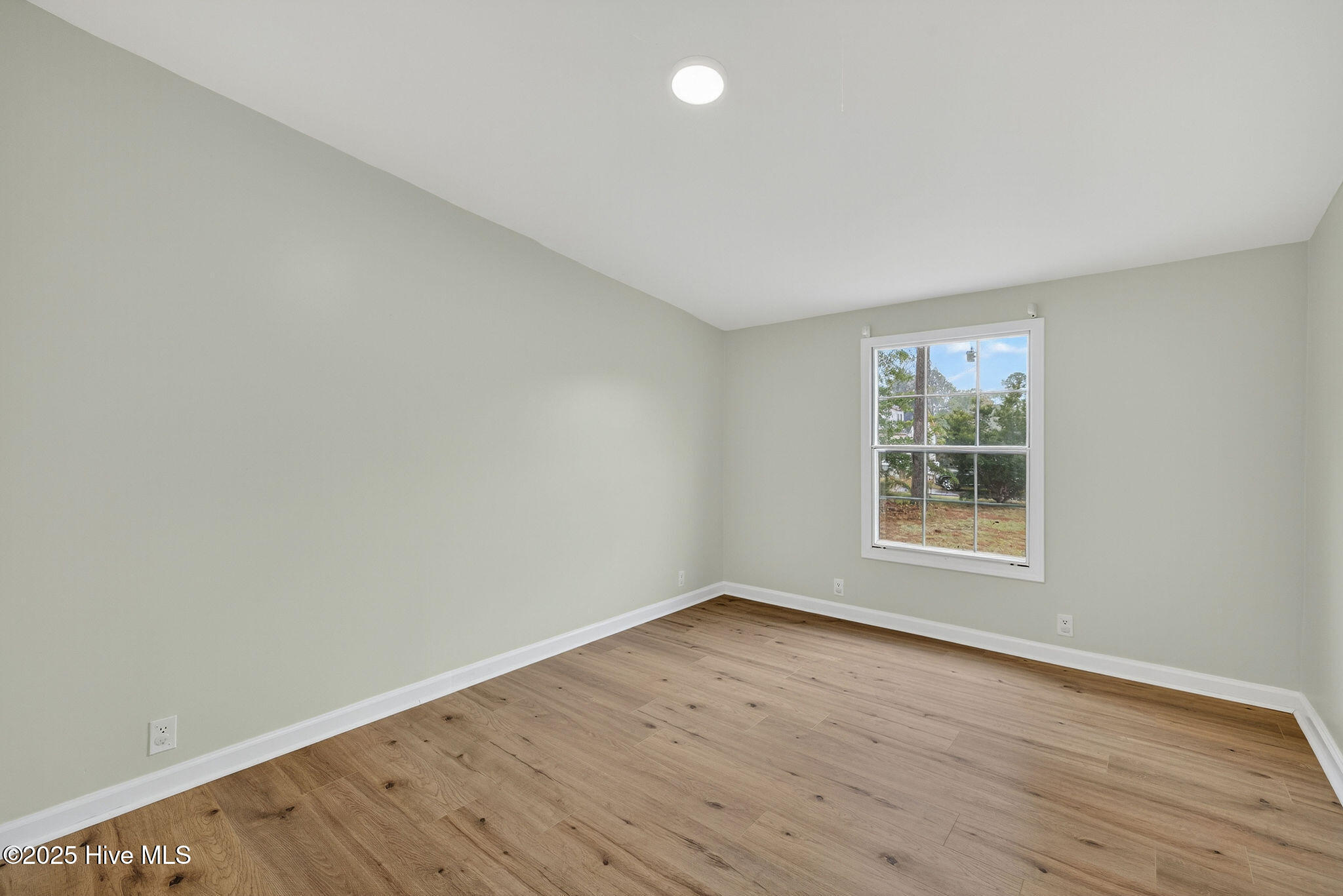 100539132 | Photo 32