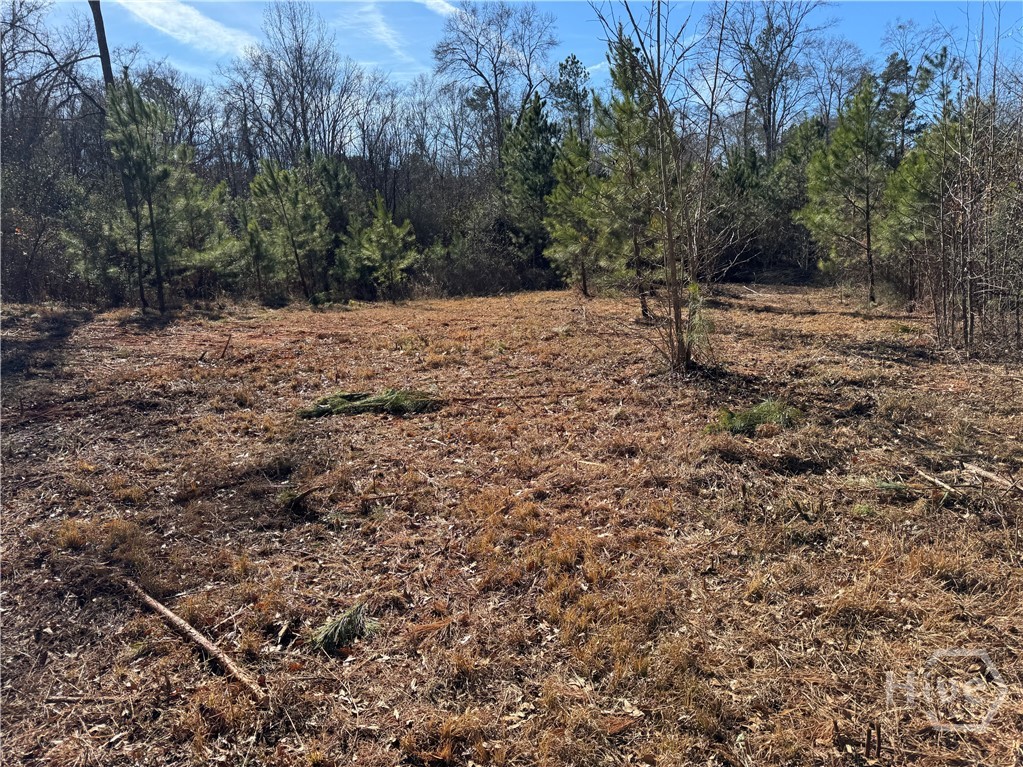 738 Old Mineral Springs Road, Elberton, GA, 30635