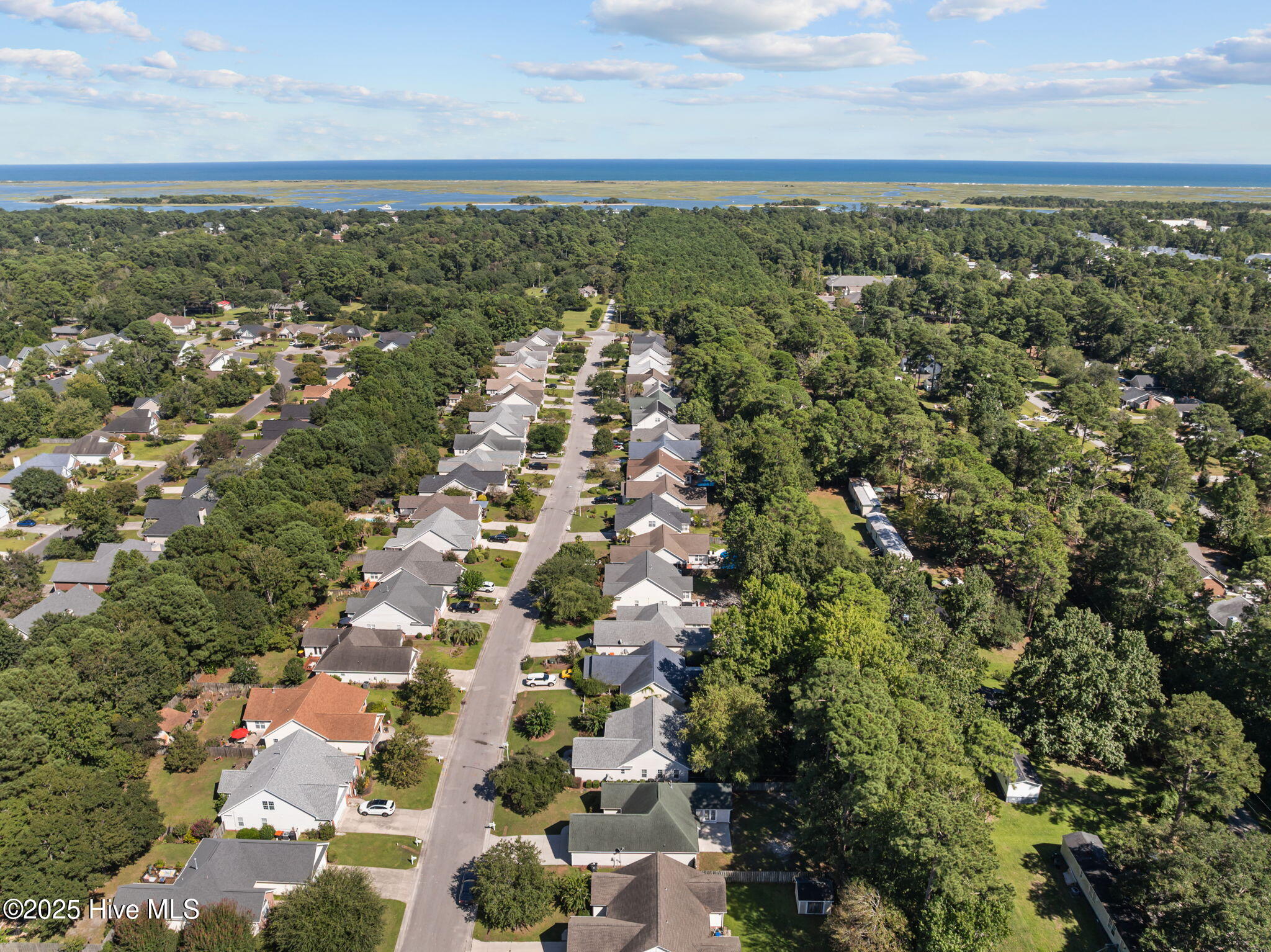 100529967 | Photo 45