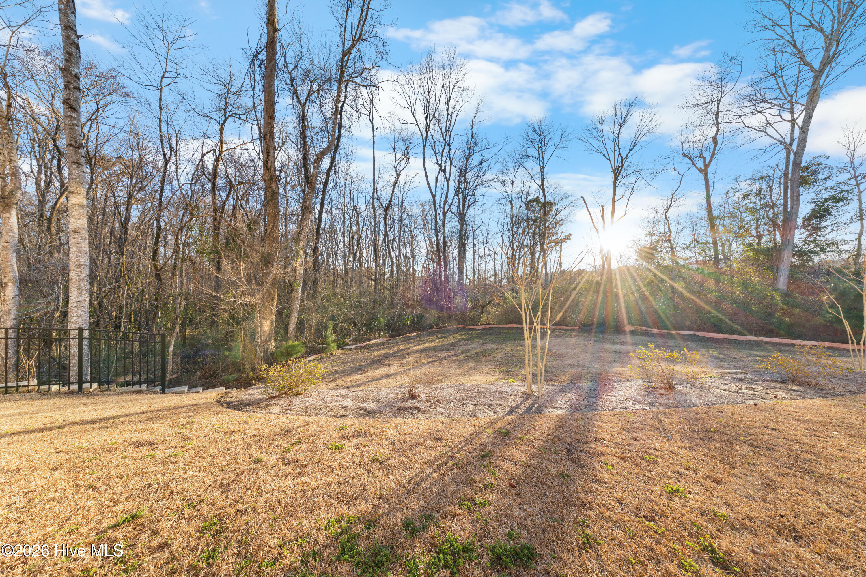 100555371 | Photo 30