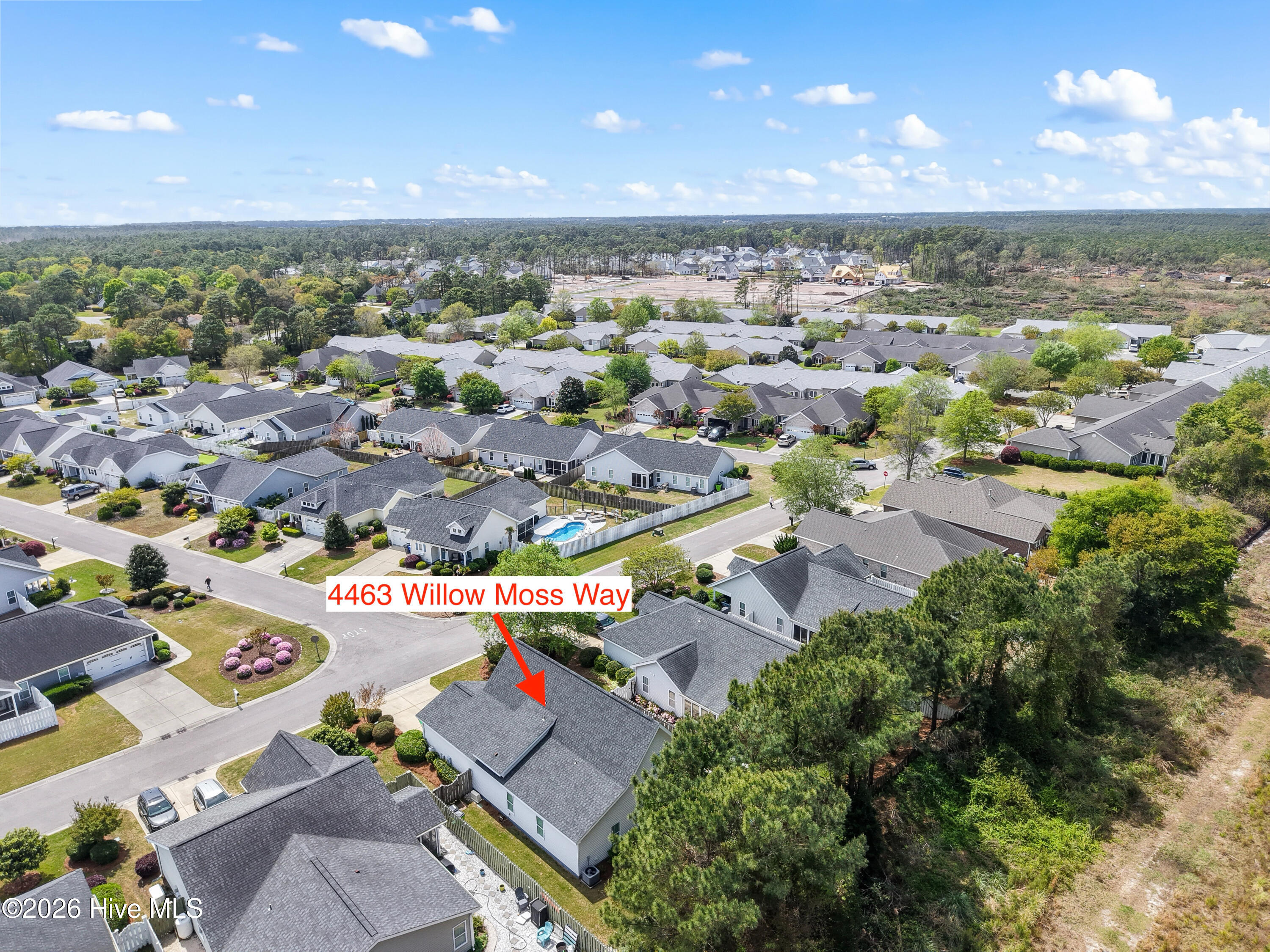 100566075 | Photo 63