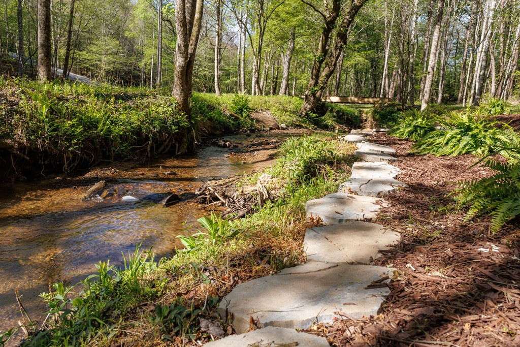 Creekside footpath