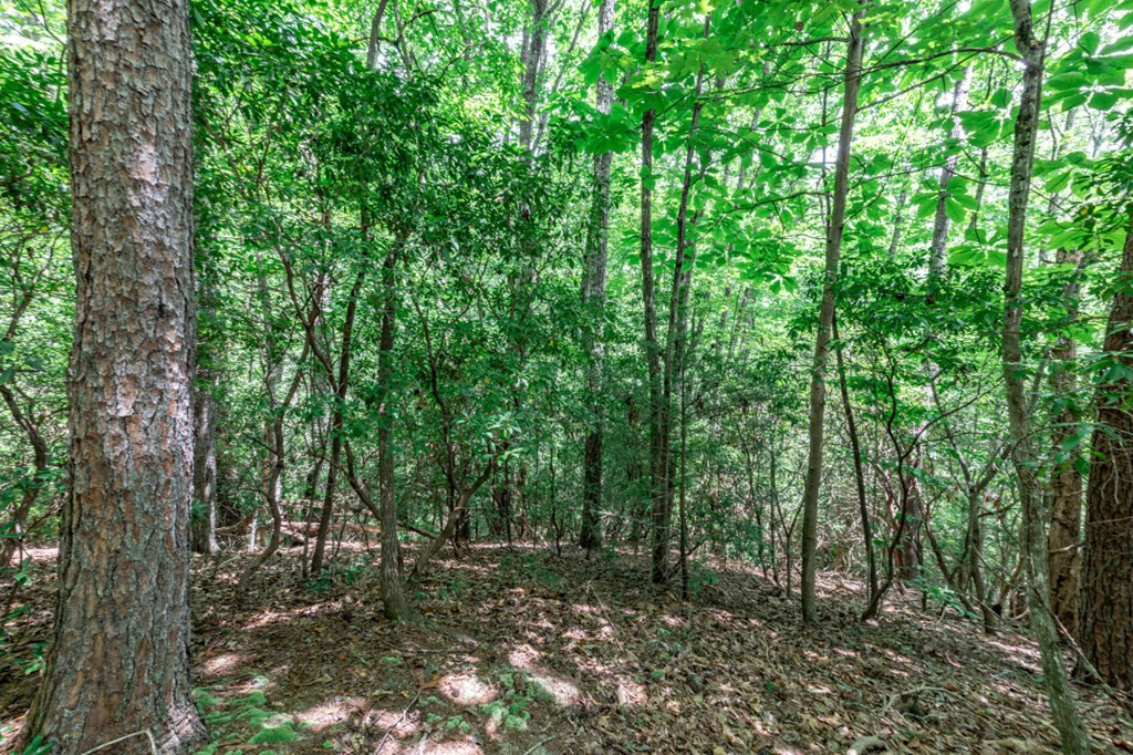 Exterior photo of Lot 56 Indian Rock Springs, Murphy, NC 28906. MLS: 98500937