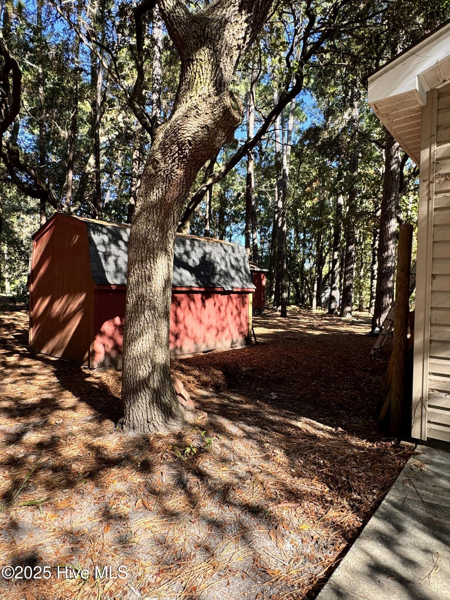 100538236 | Photo 71