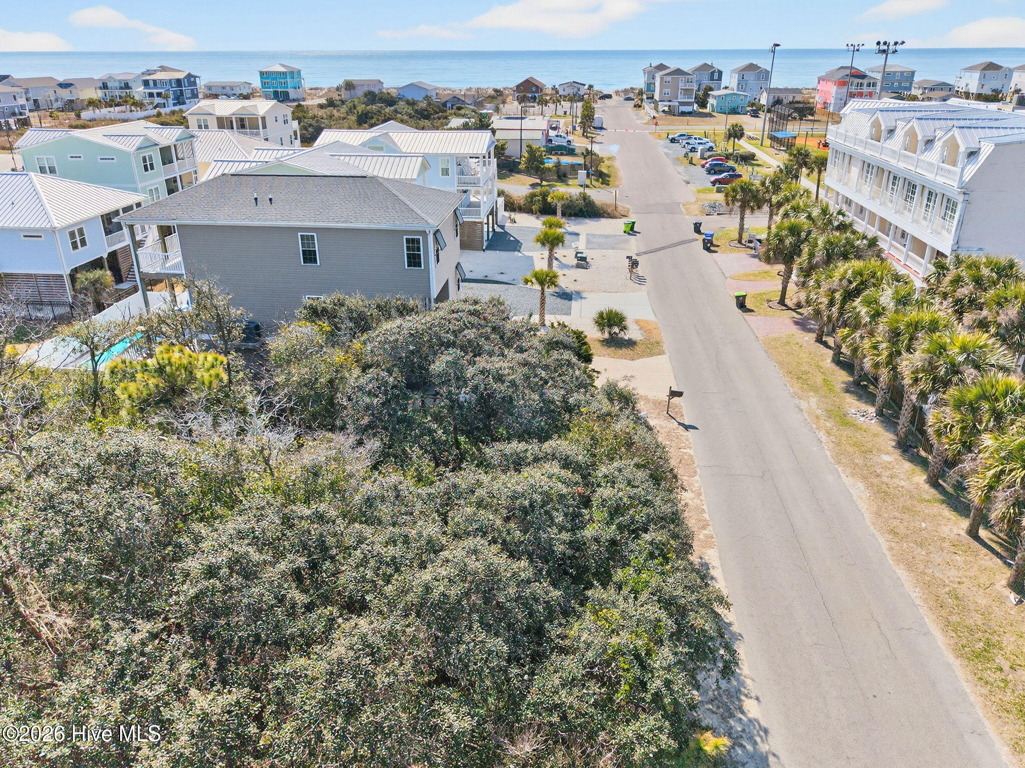 100553915 | Photo 19