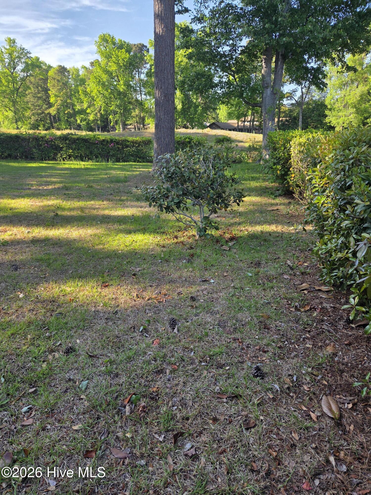 100568652 | Photo 31