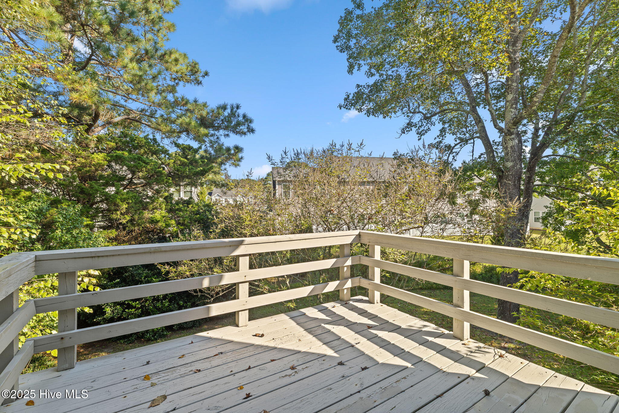 100535092 | Photo 34