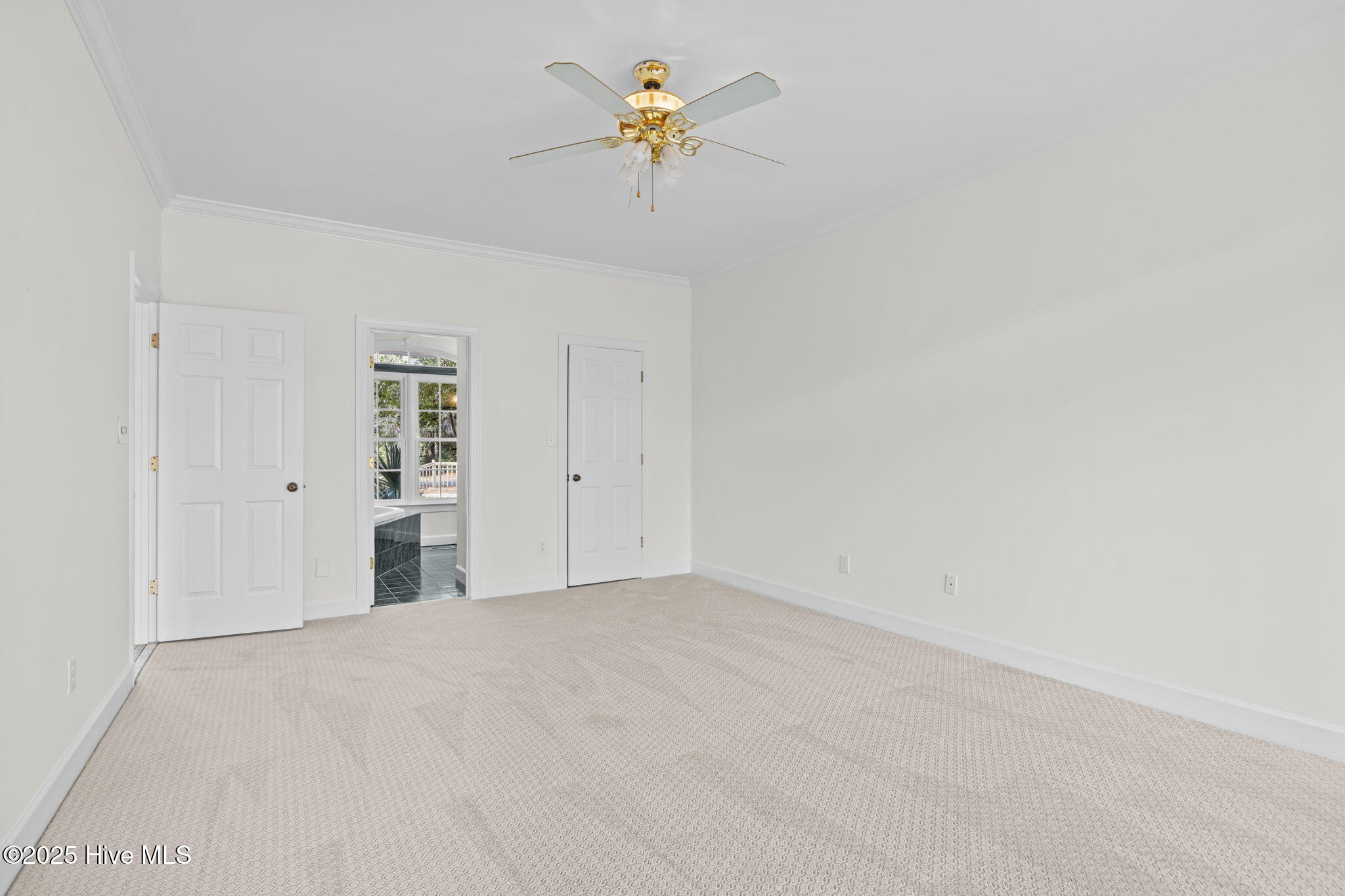 100542960 | Photo 13