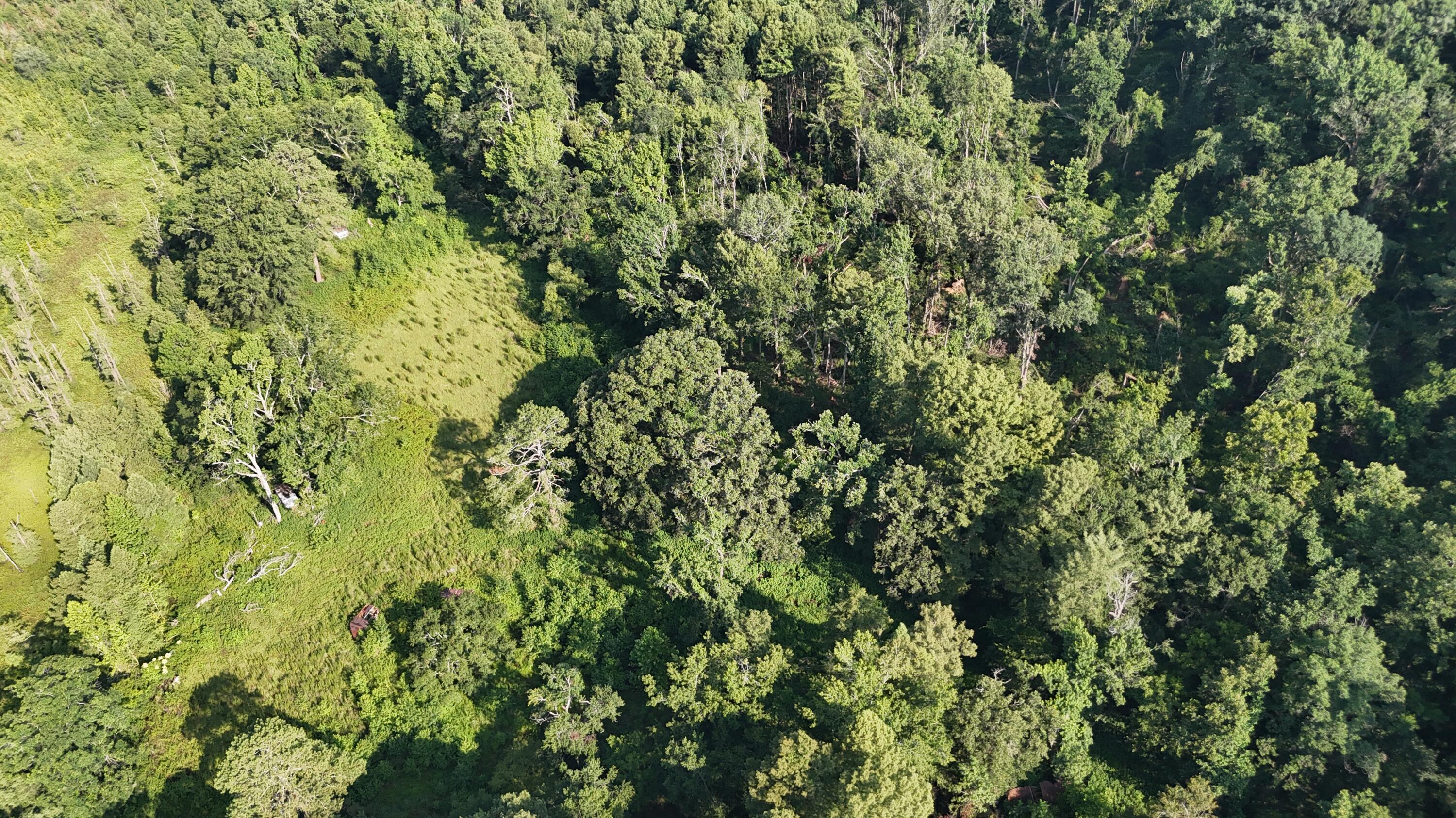 0 Swamp Road, Beech Island, SC 29842