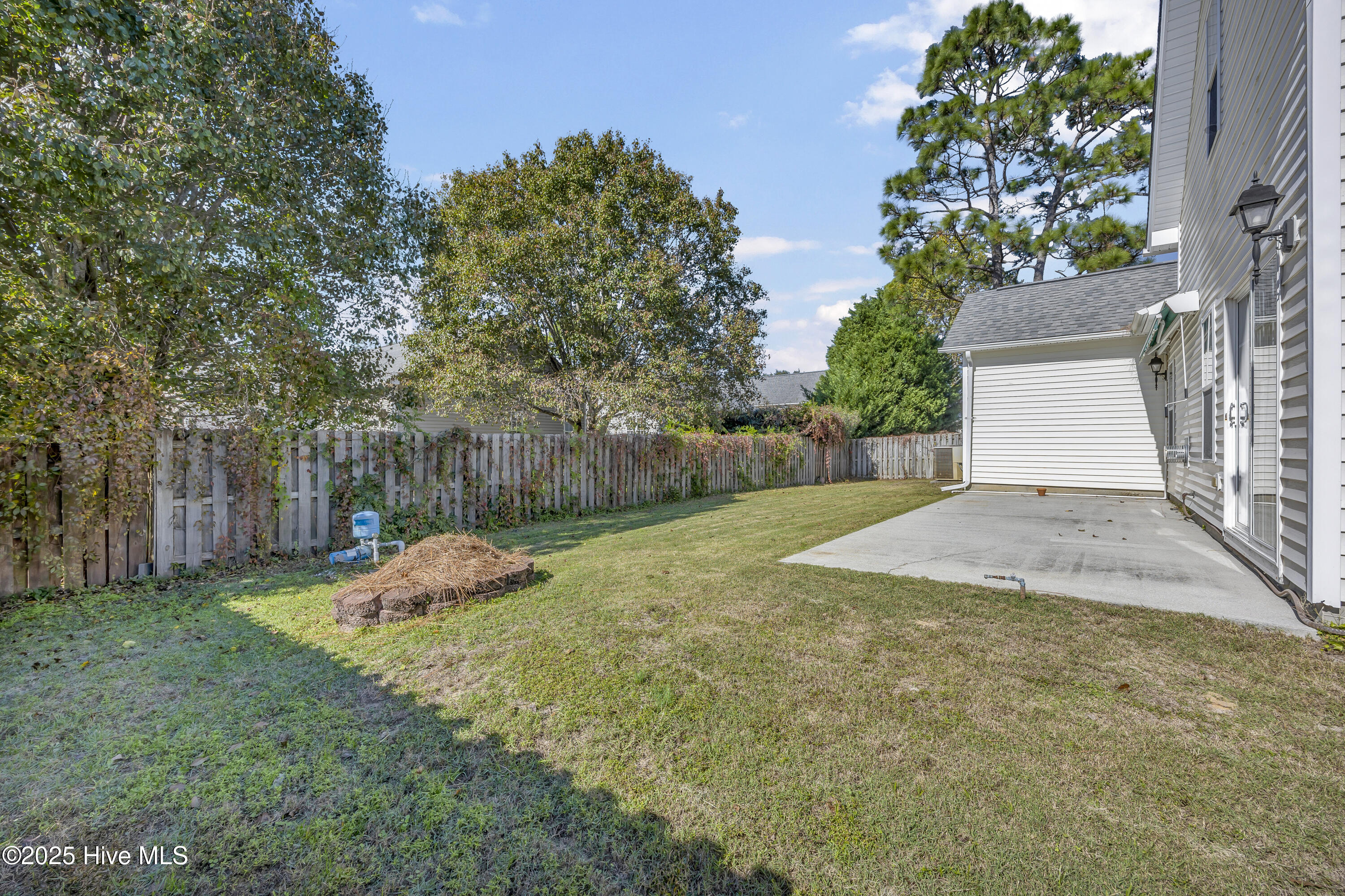 100540259 | Photo 25