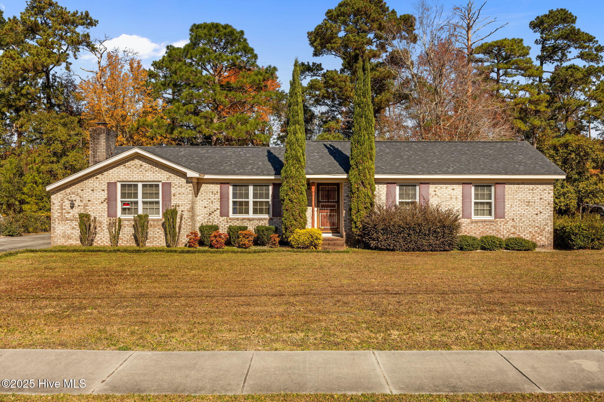 100542323 | Photo 31