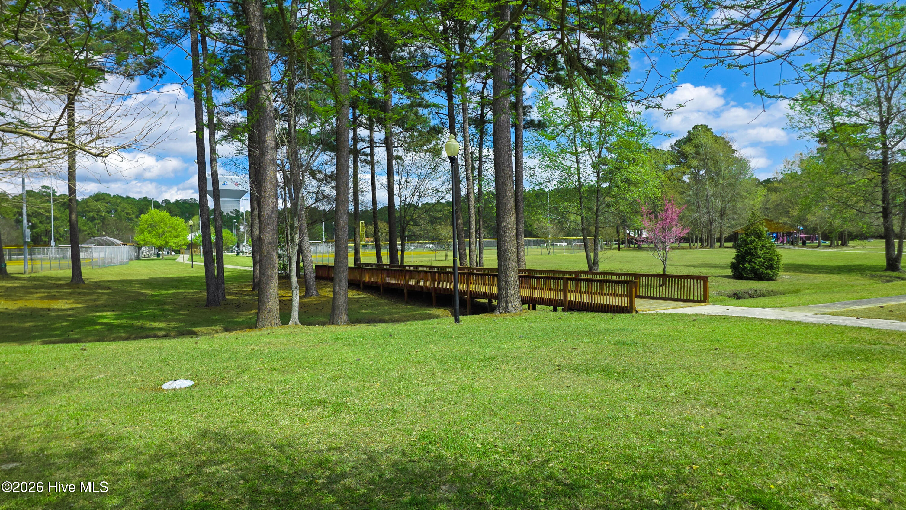 100562387 | Photo 57