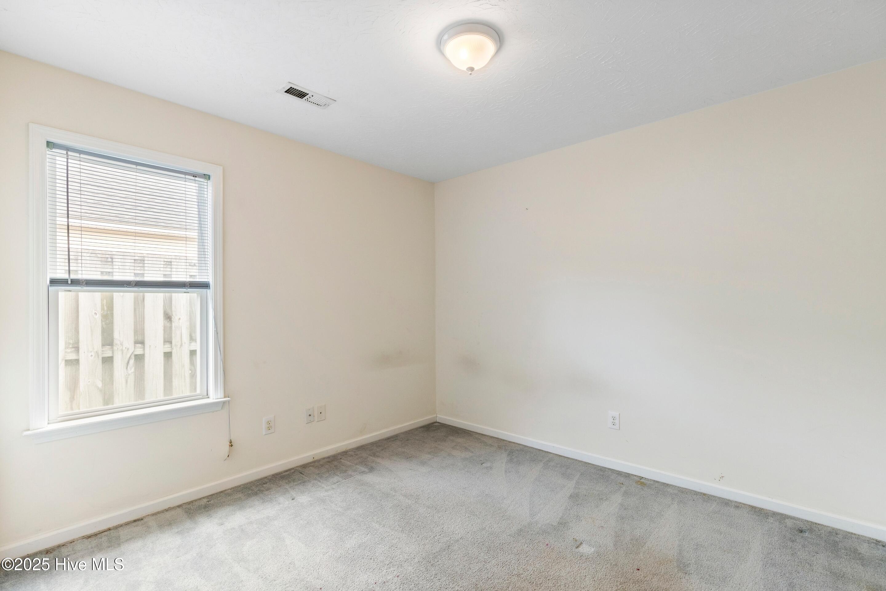 100539007 | Photo 28