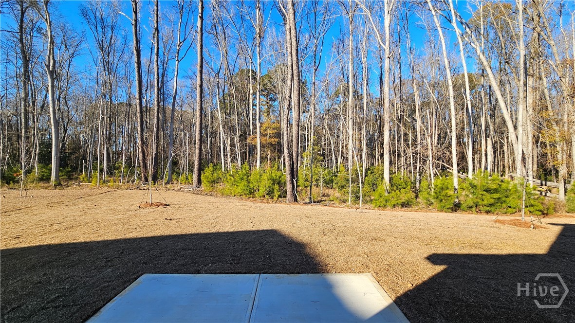 110 Chime Creek Drive, Pooler, GA, 31322