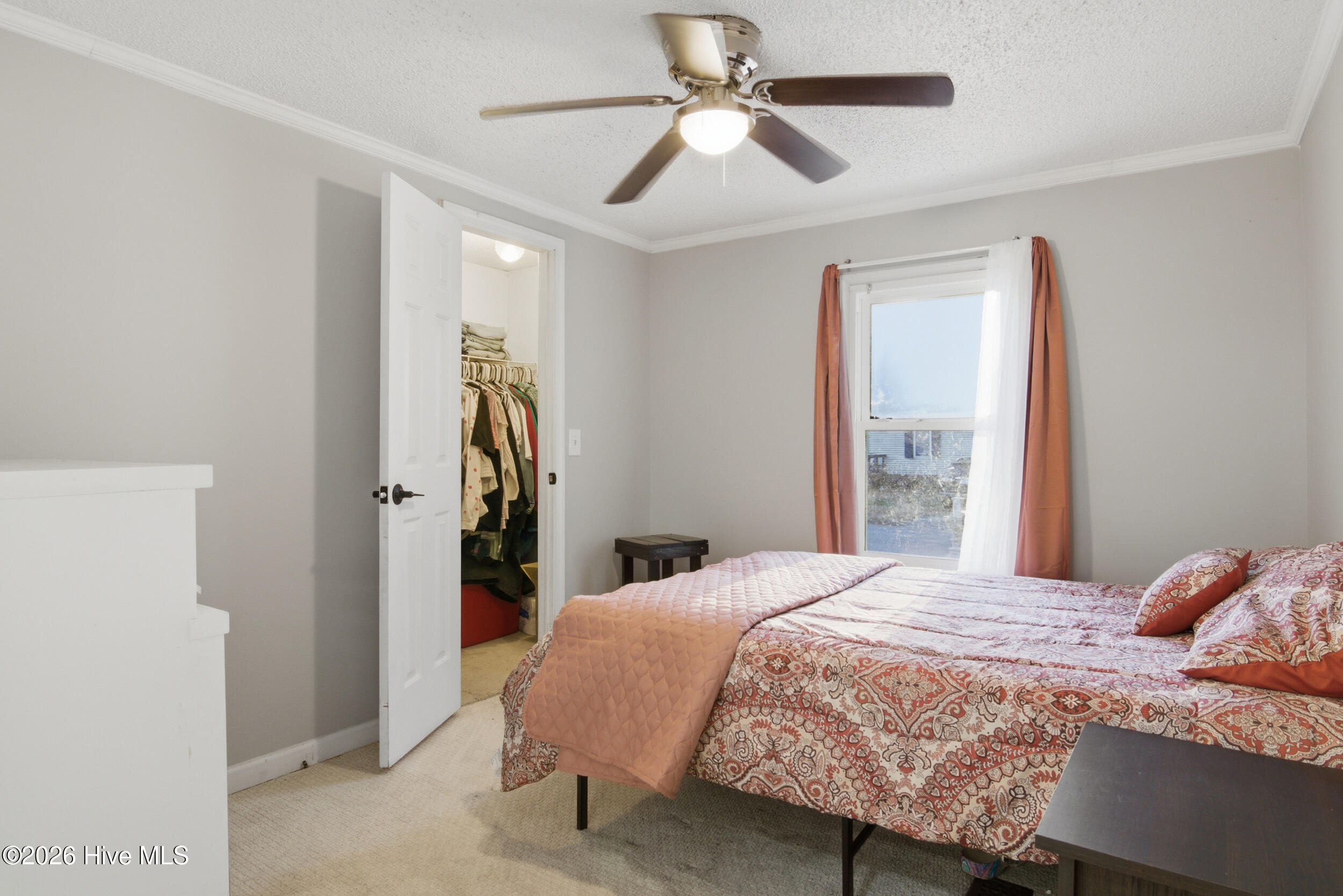 100553535 | Photo 23