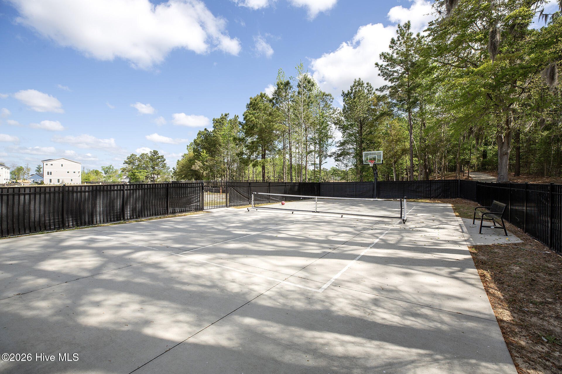 100563450 | Photo 66