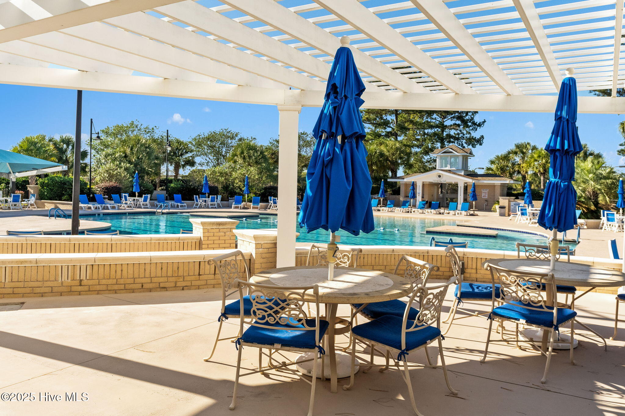 100538091 | Photo 80