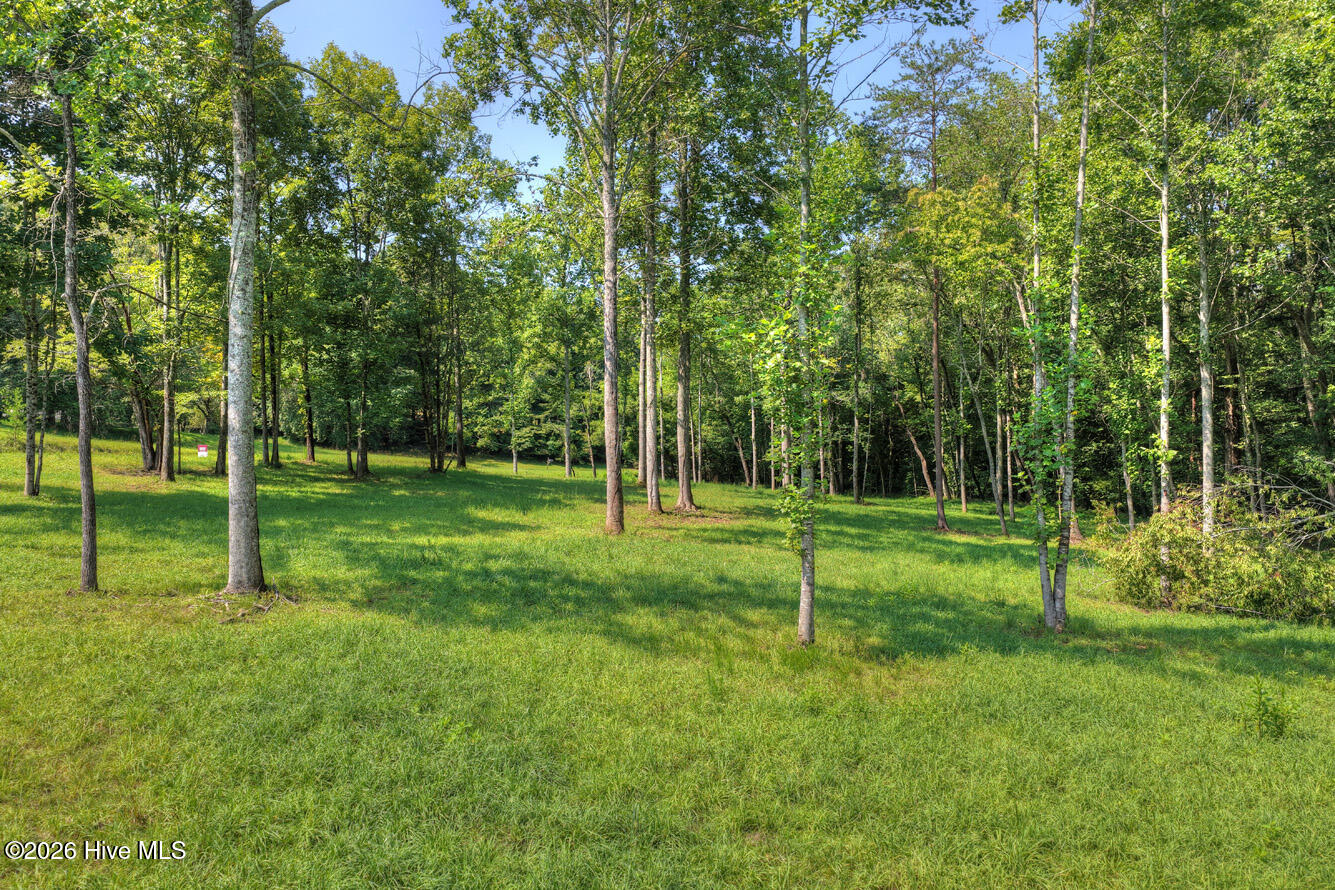 Listing Photo 100596979