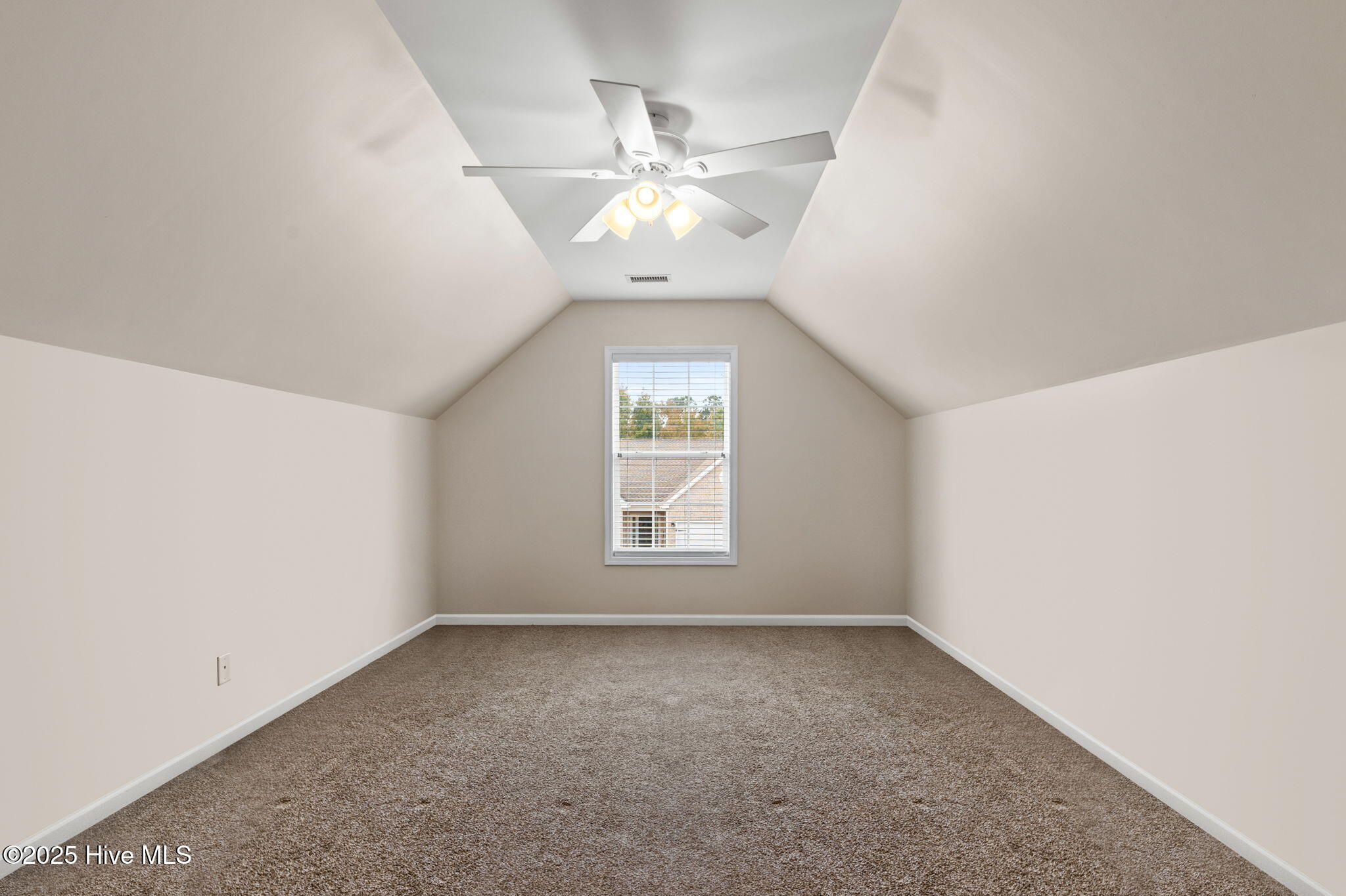 100540486 | Photo 32