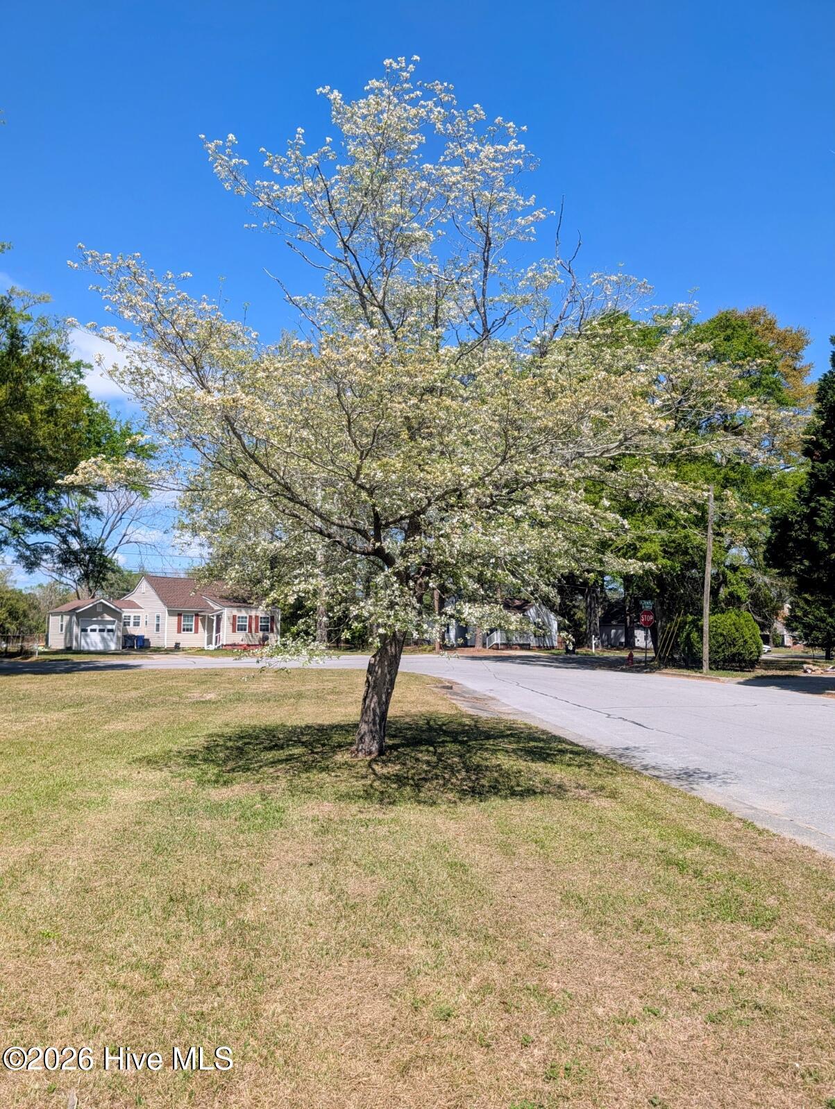 100565464 | Photo 12