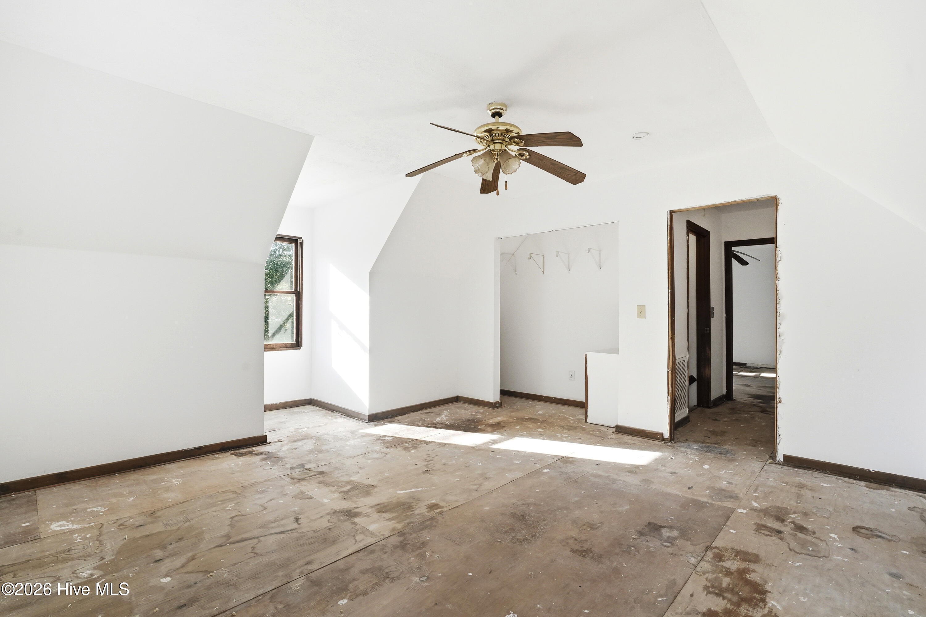 100568902 | Photo 24