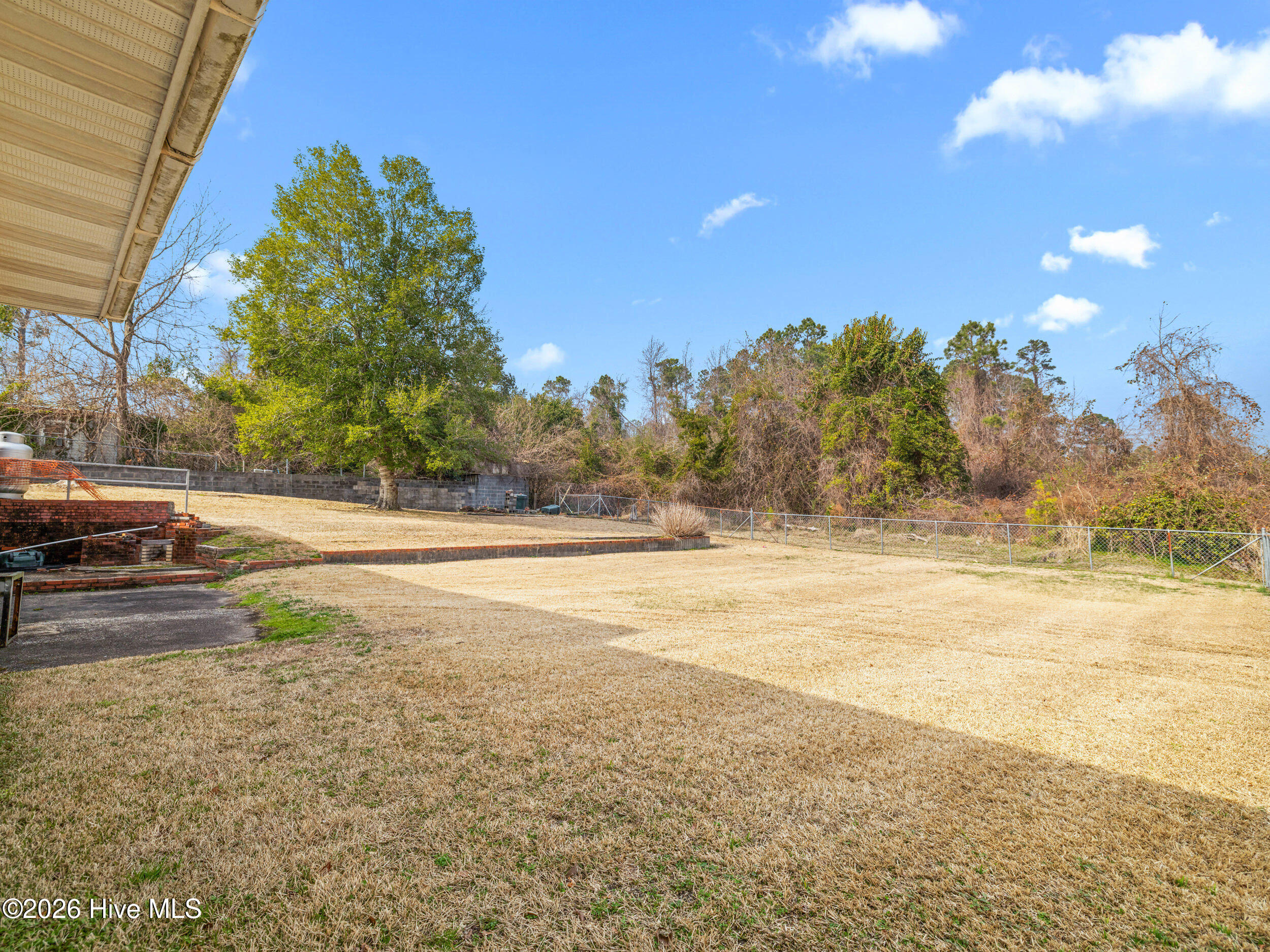 100555945 | Photo 11