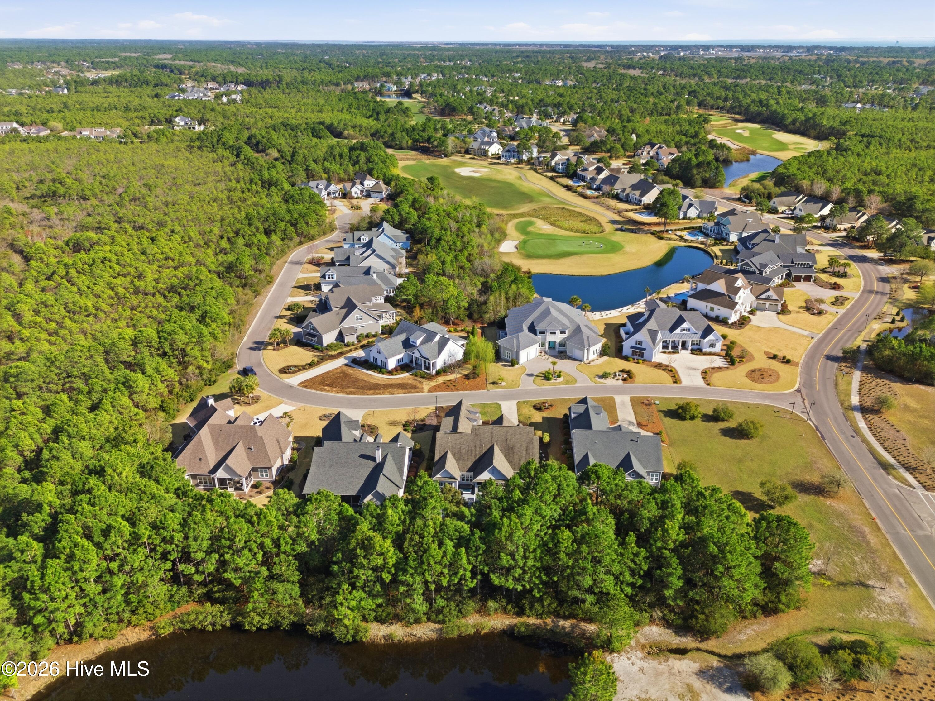 100560697 | Photo 70