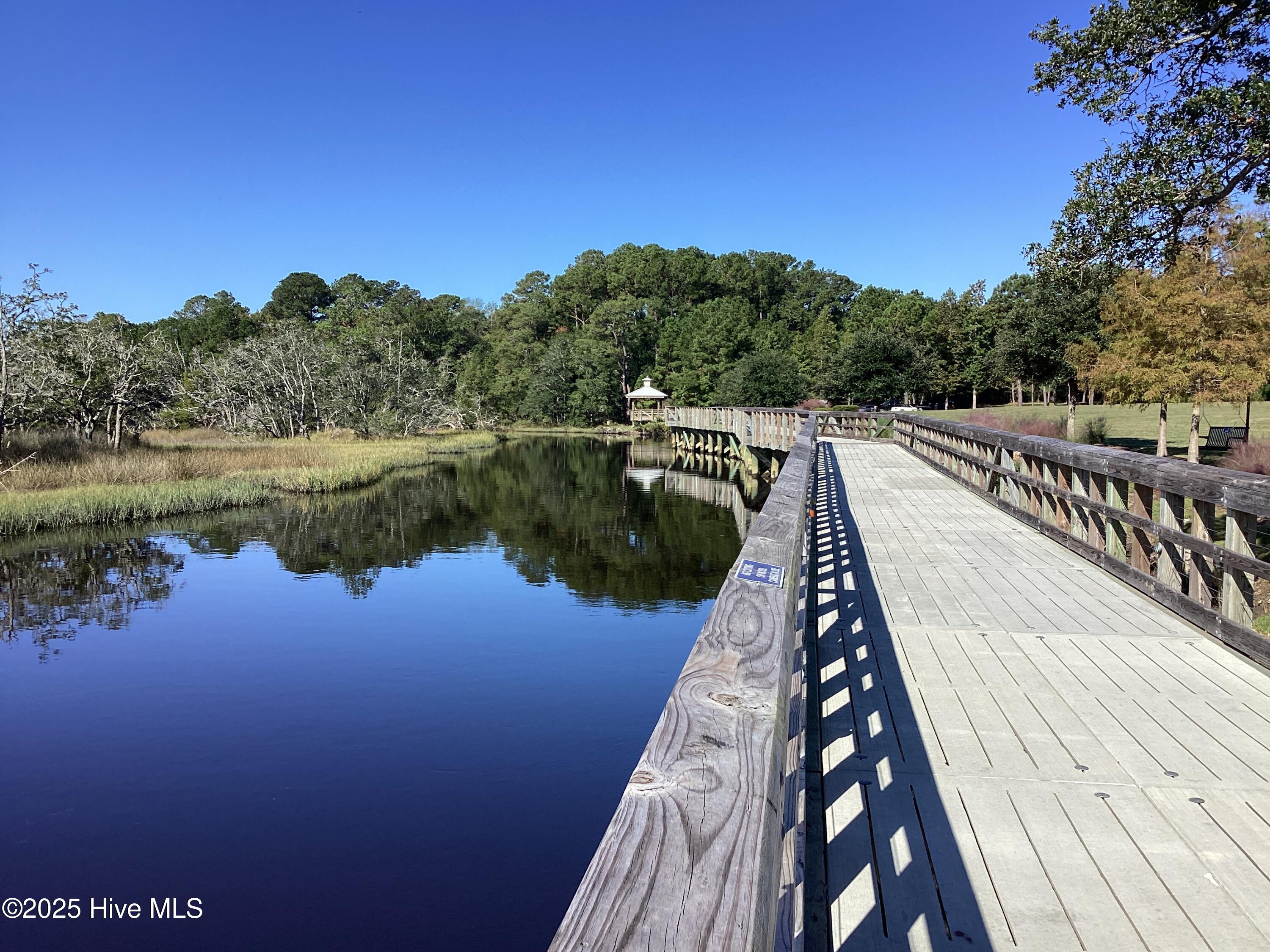 100537242 | Photo 52