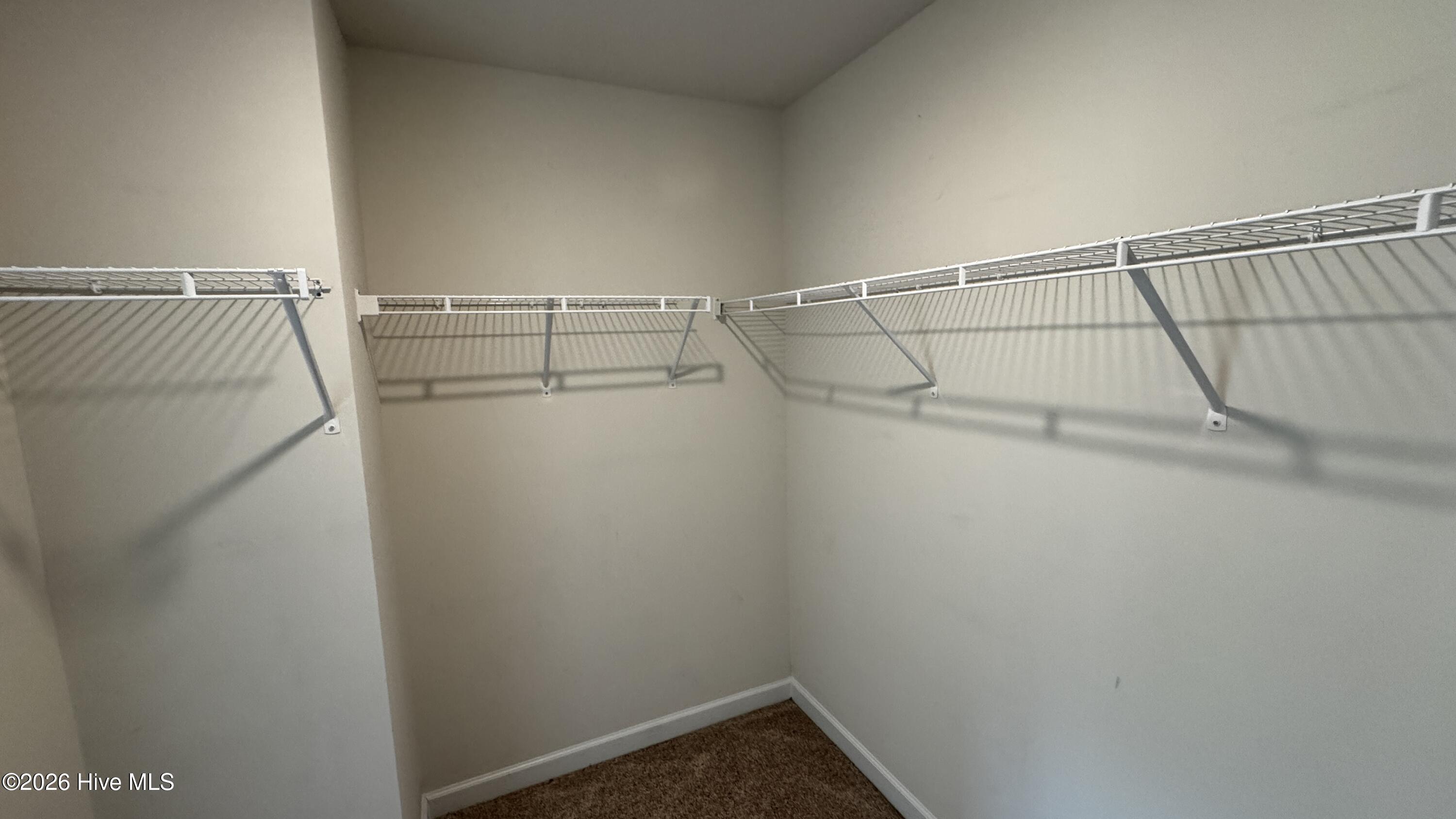 100568589 | Photo 12