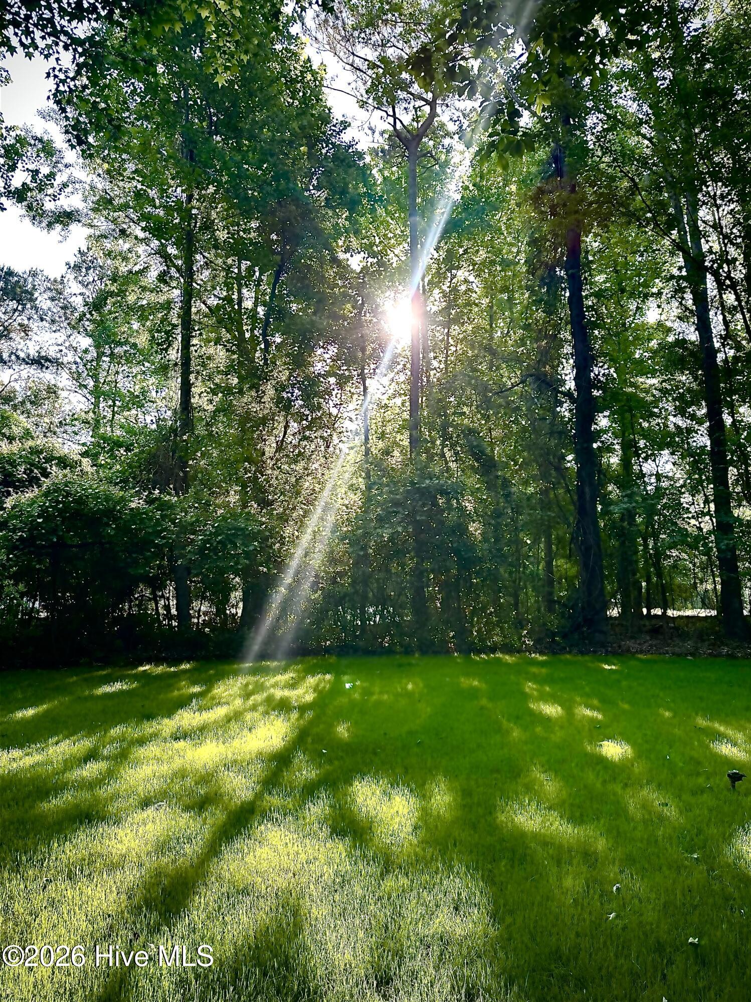 100569469 | Photo 64