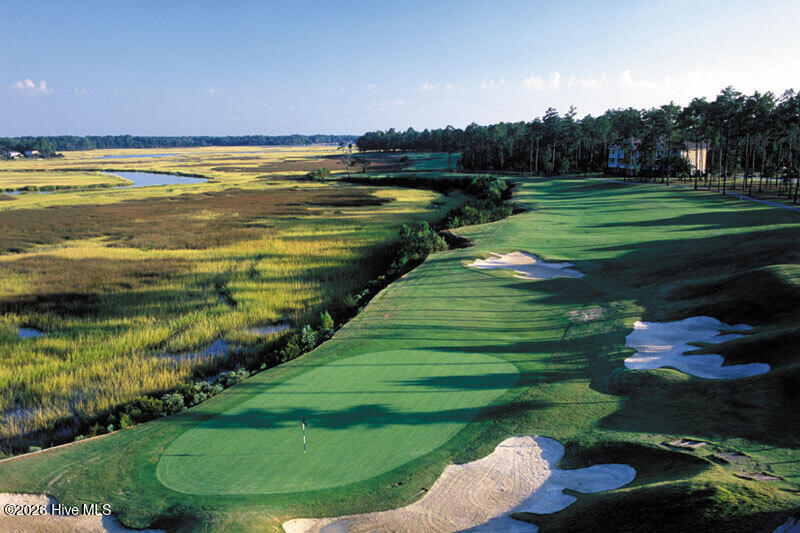 100551471 | Photo 44