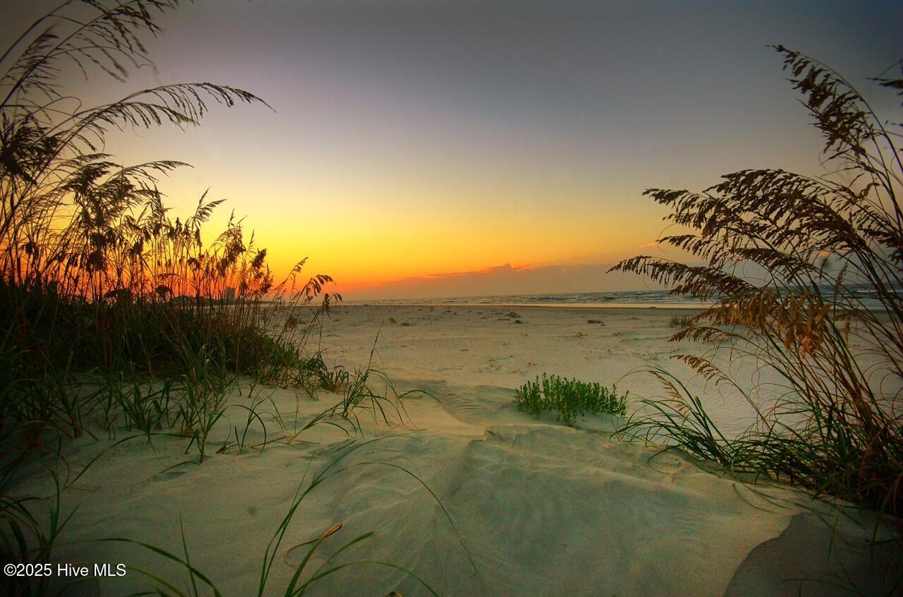 100524017 | Photo 22