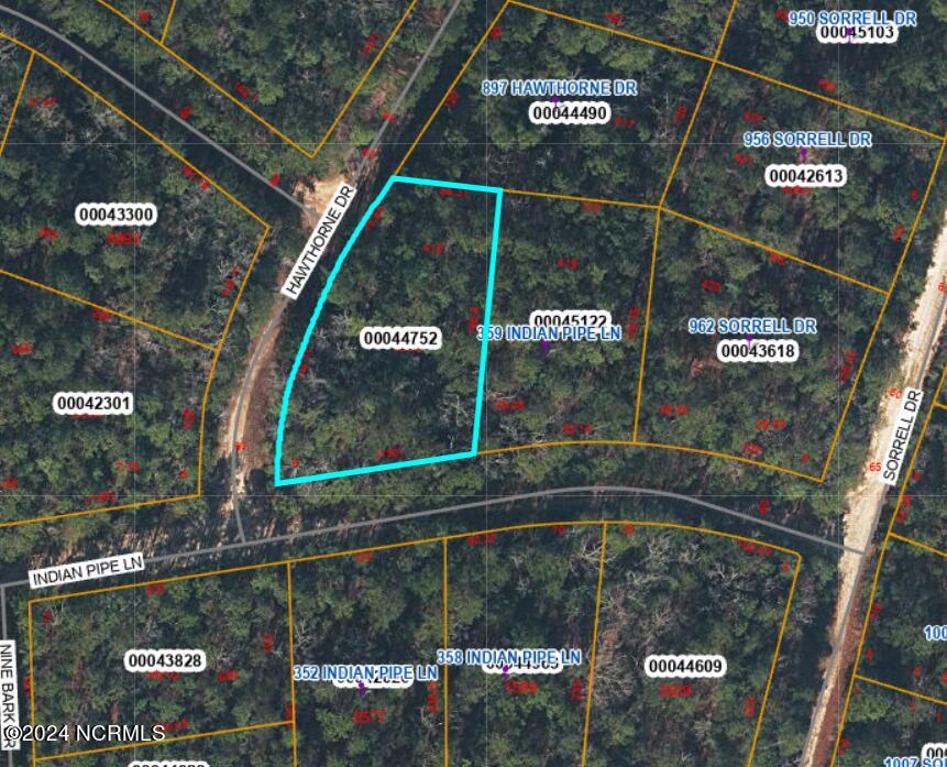353 Indian Pipe Lane, Vass, NC, 28394