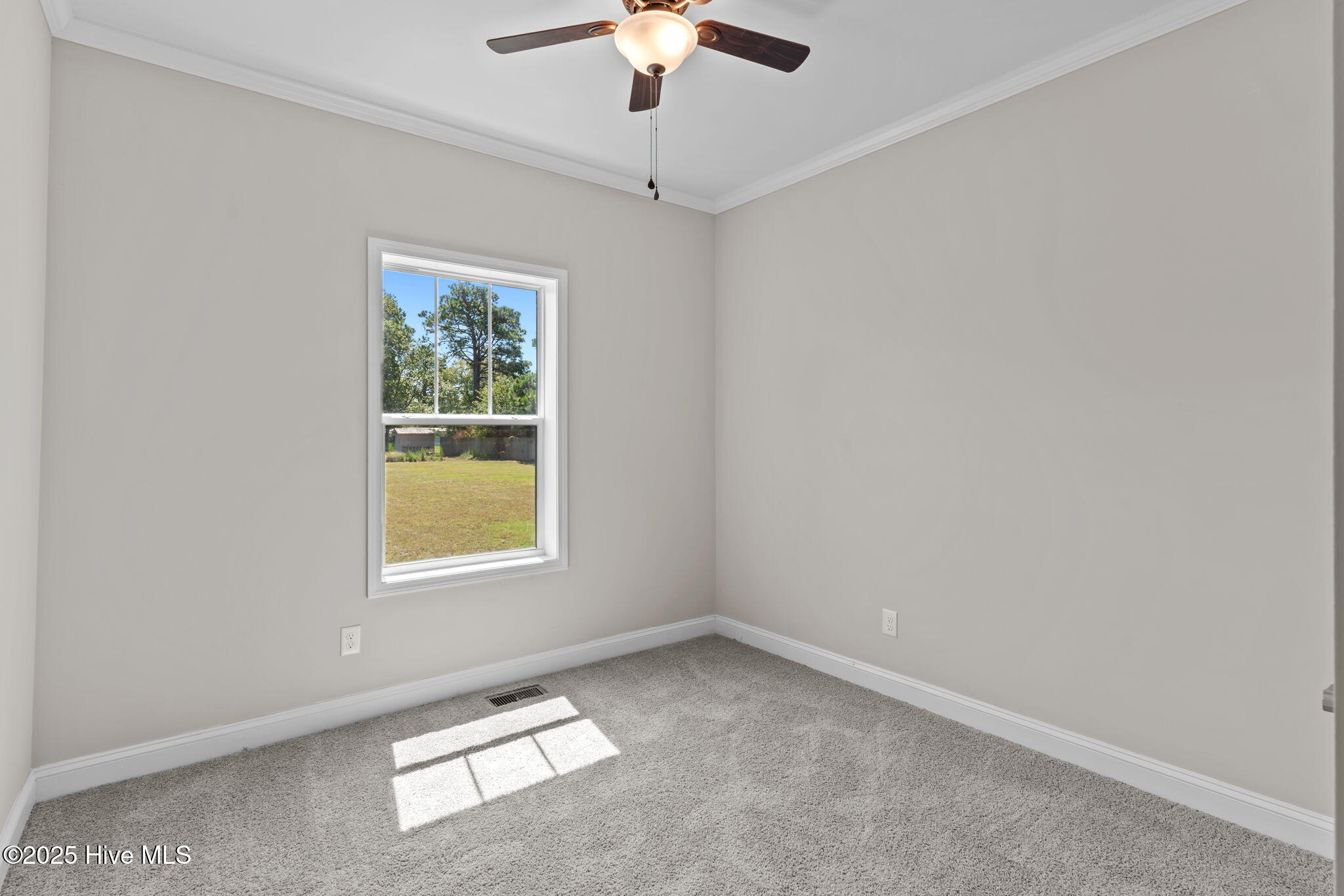 100529726 | Photo 33