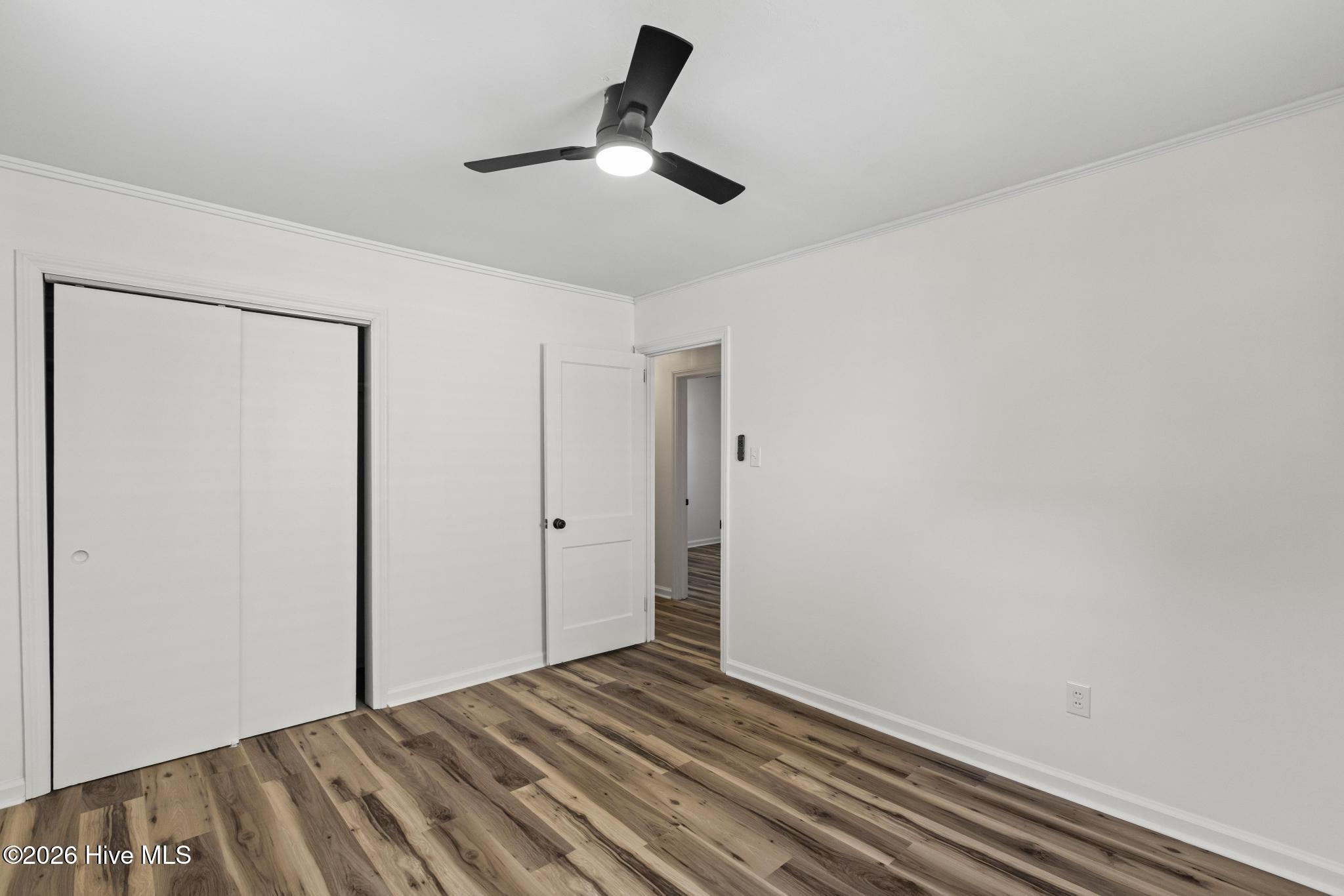 100569487 | Photo 31