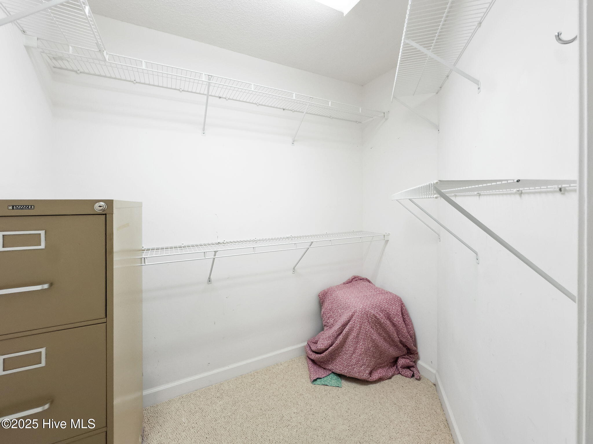 100537506 | Photo 34