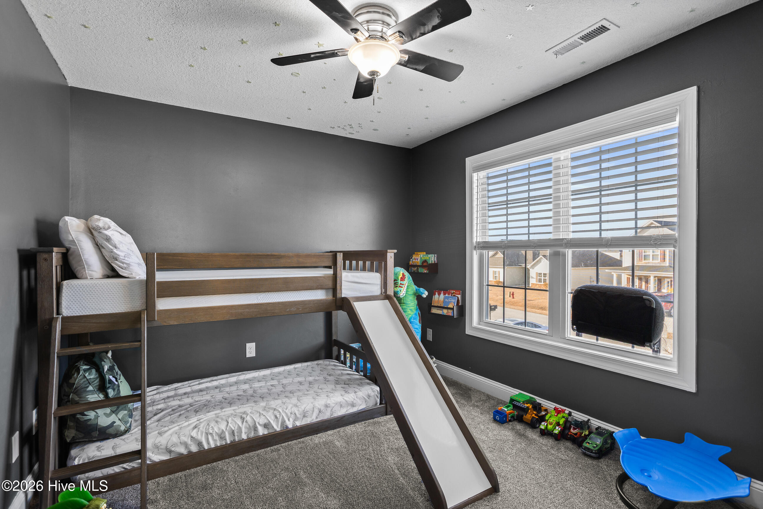 100556437 | Photo 29