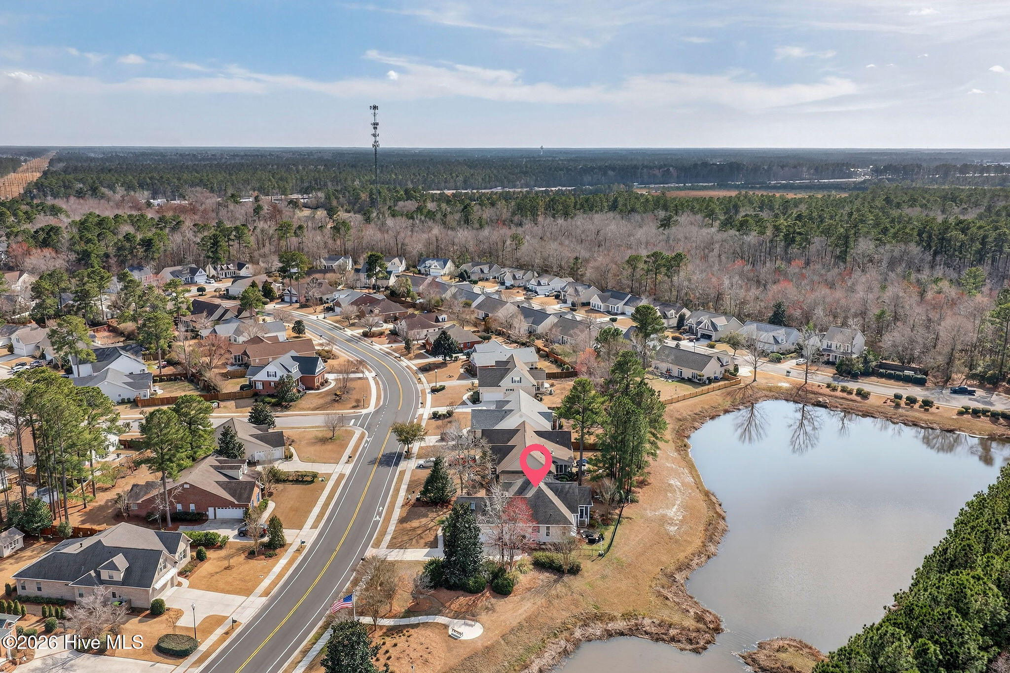 100558563 | Photo 60