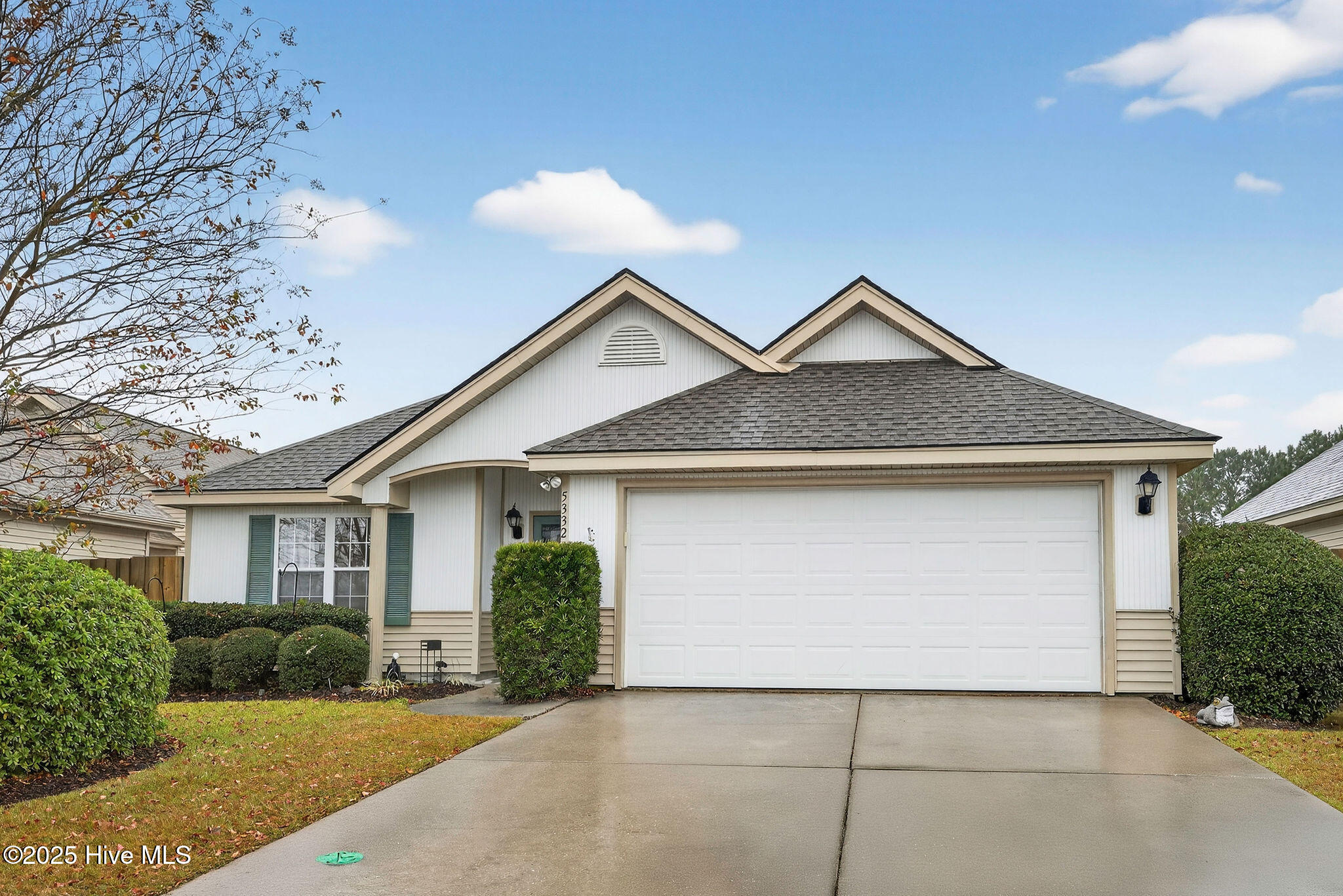 100543269 | Photo 30