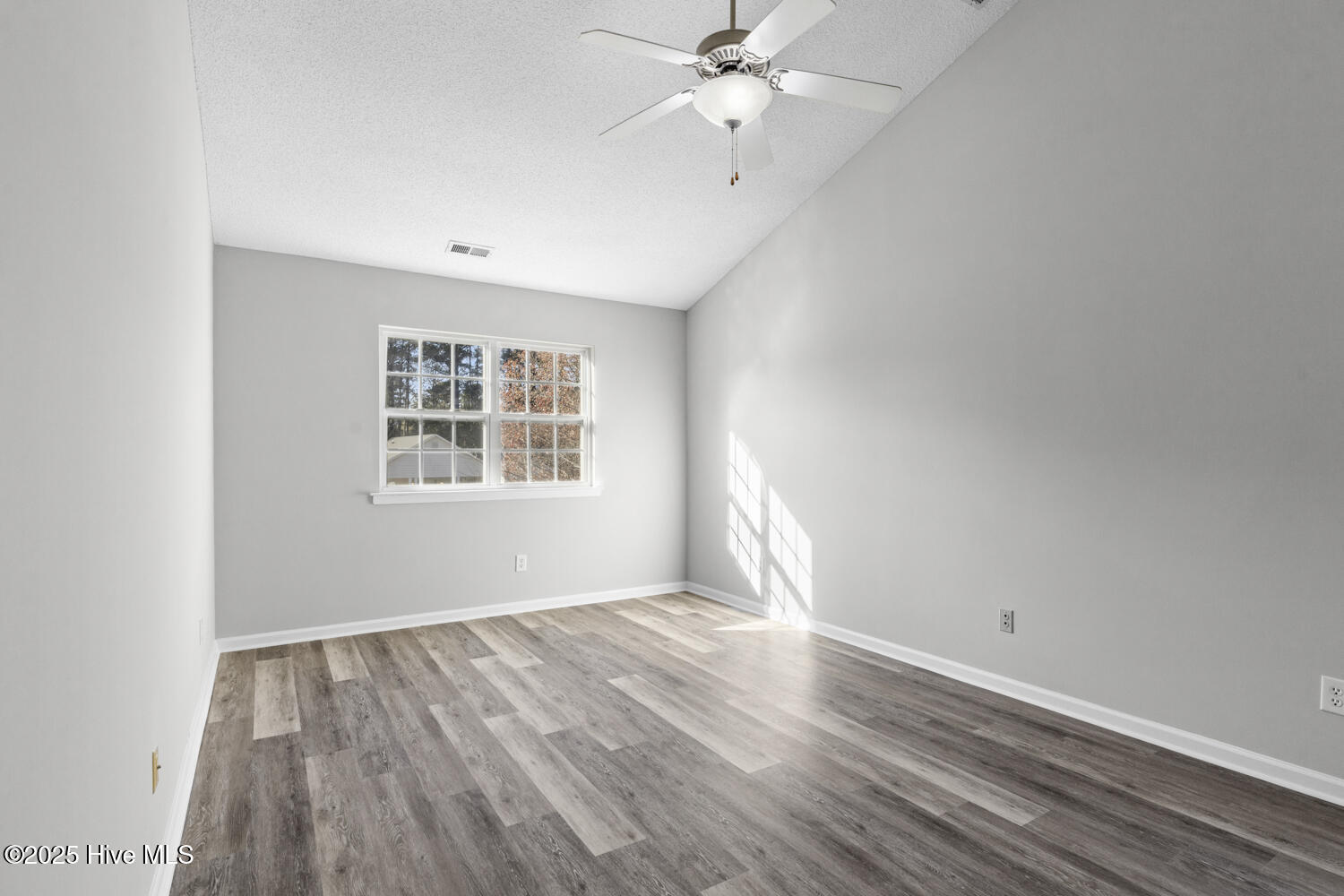 100541335 | Photo 19