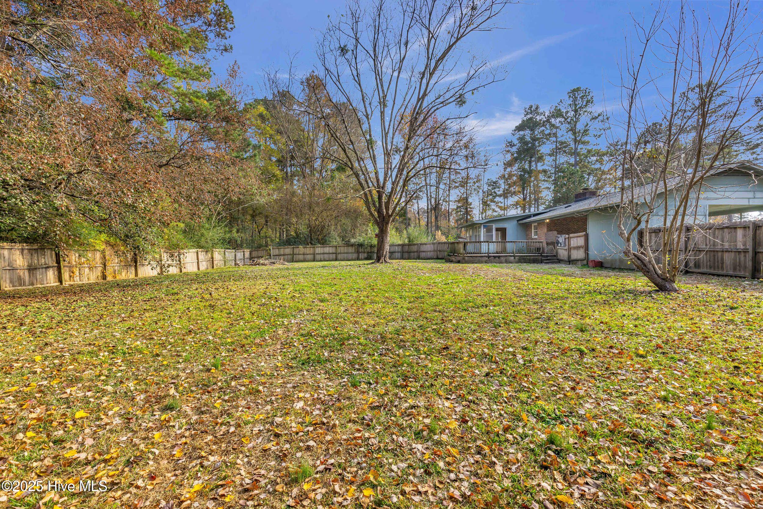 100543256 | Photo 39