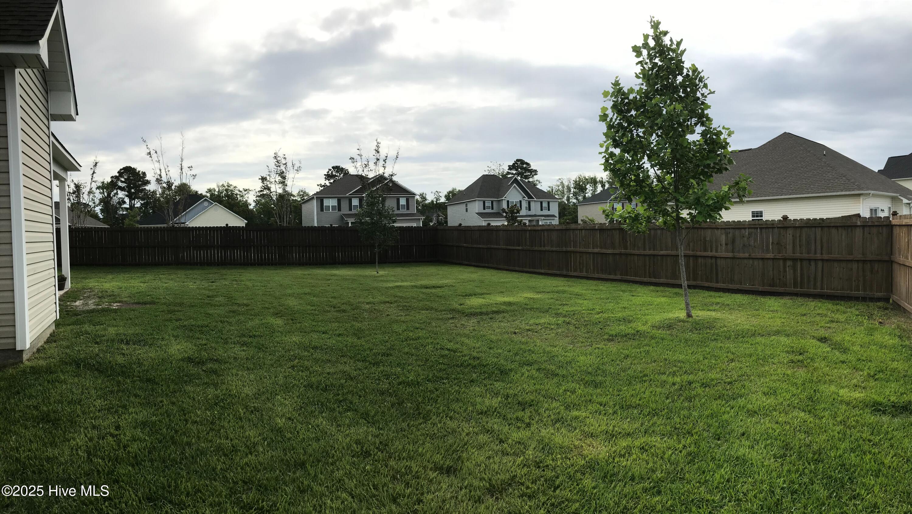 100544459 | Photo 56