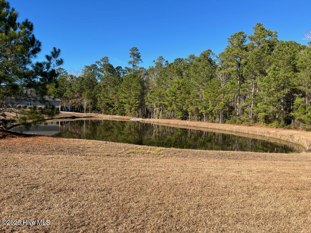 100420990 | Photo 33